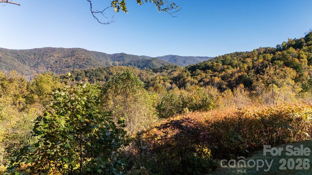 Single Family Residence at 1351 Caldwell Mountain Road, Hot Springs, photo 21 of 22