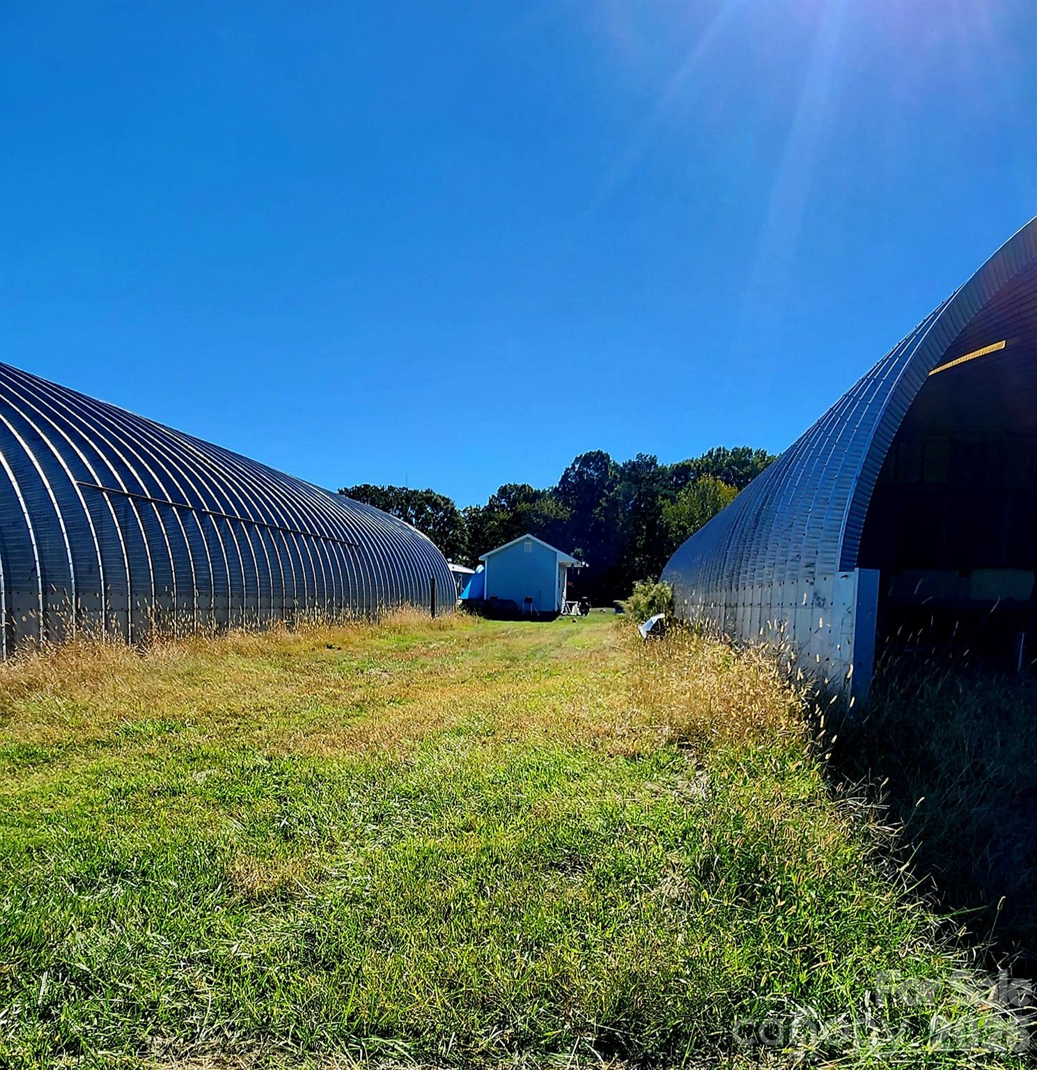 Farm at 702 Ike Lynch Road, Dallas, photo 24 of 32