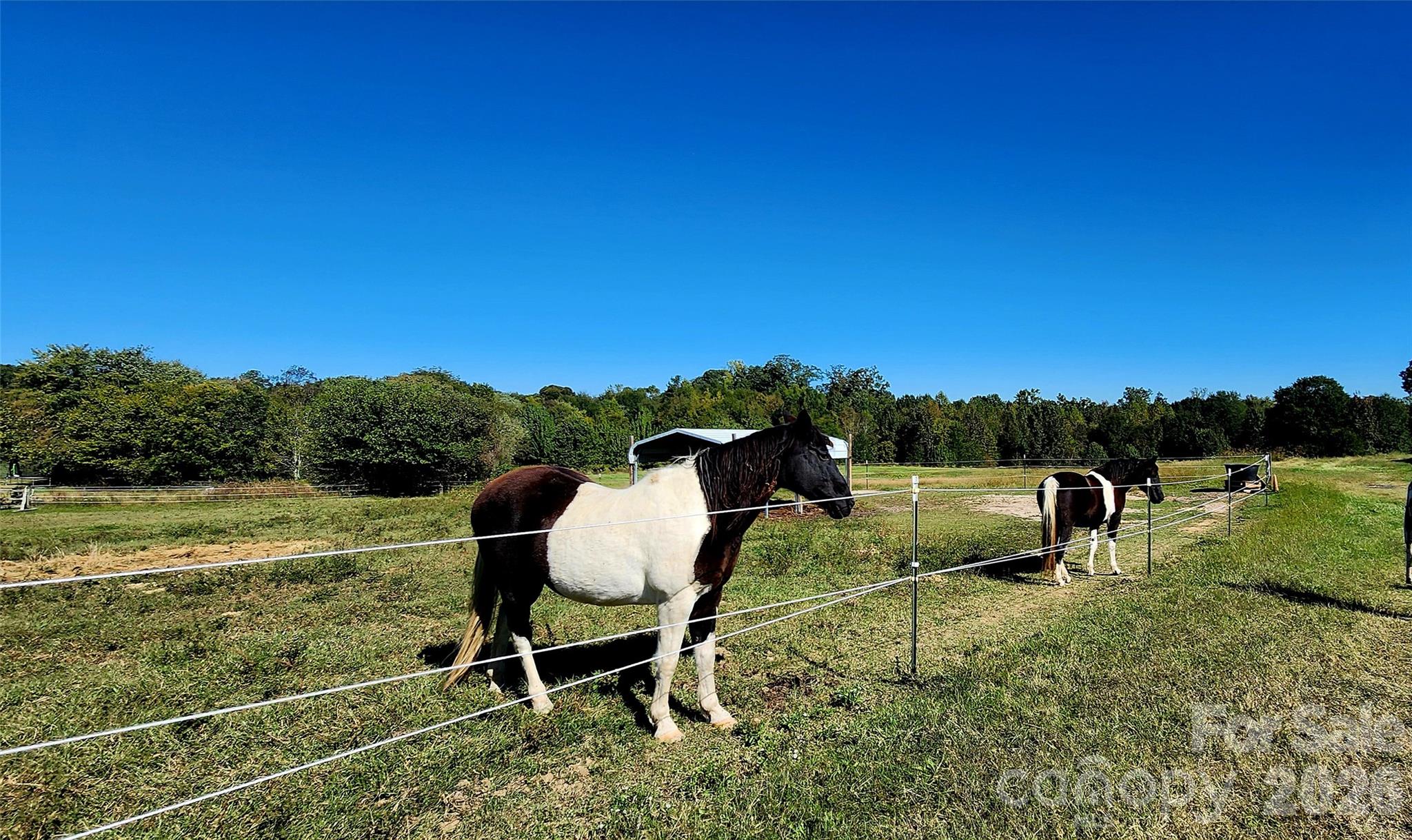 Farm at 702 Ike Lynch Road, Dallas, photo 29 of 32