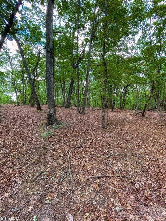 Lot at 1175 Sierra Trace Road, Denton, photo 10 of 38