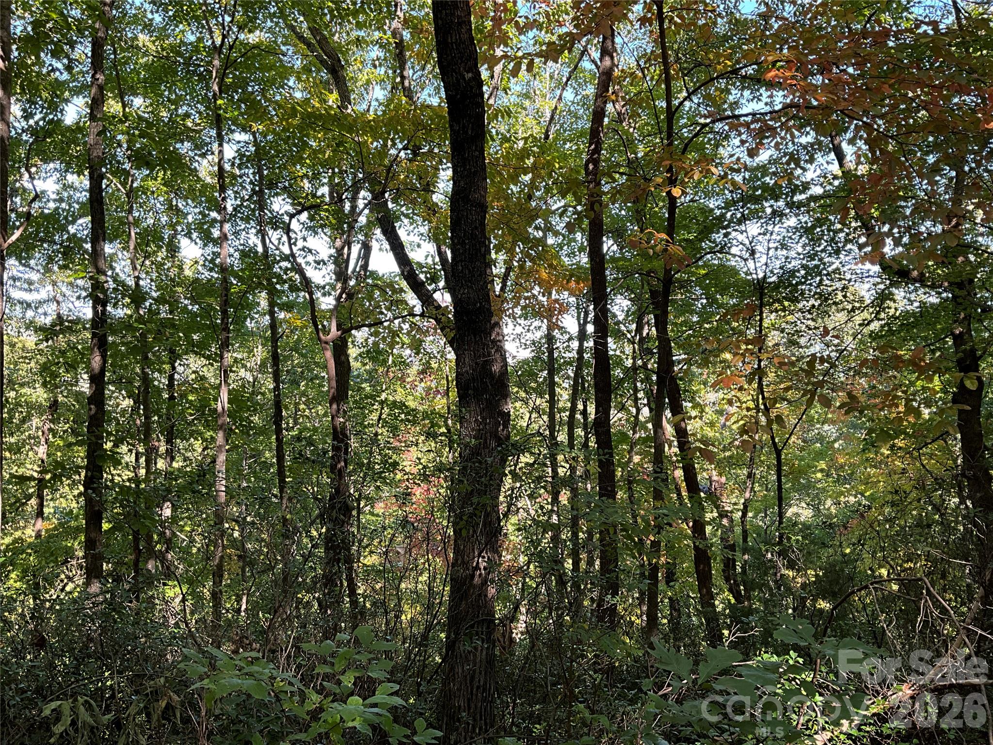 Lot 88 Bolt Road