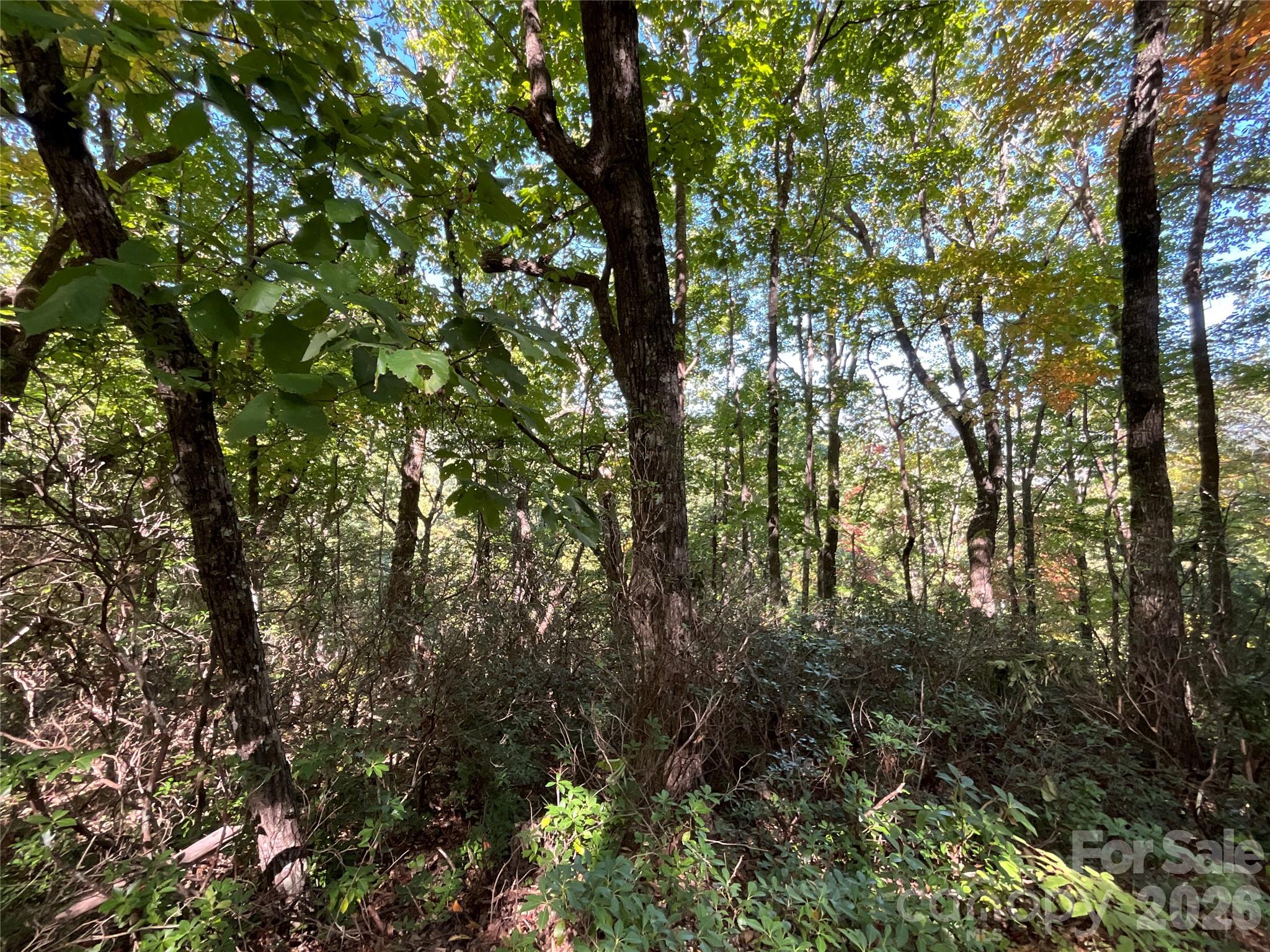 Lot at Lot 88 Bolt Road, Lake Lure, photo 2 of 19
