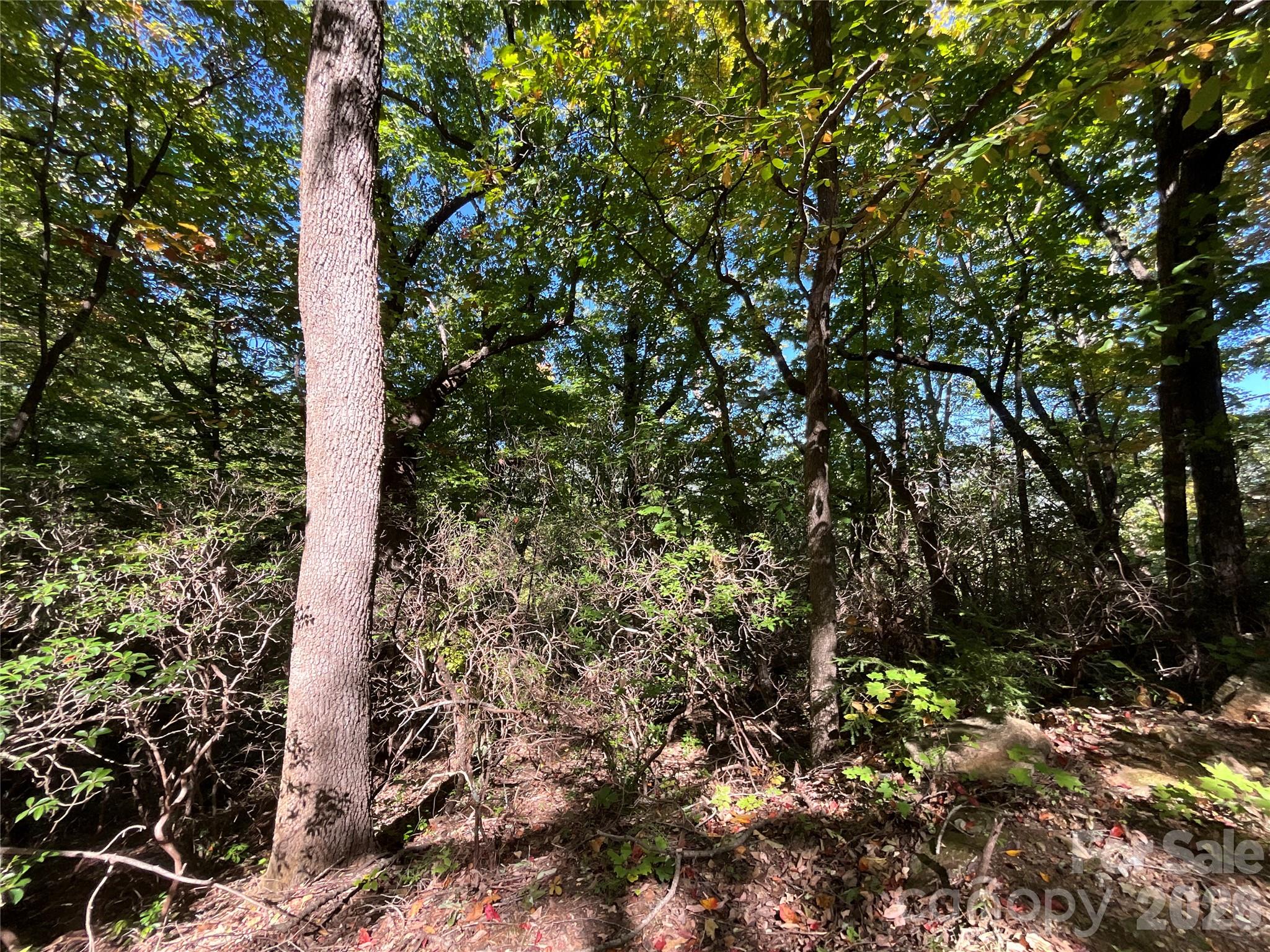Lot at Lot 88 Bolt Road, Lake Lure, photo 3 of 19