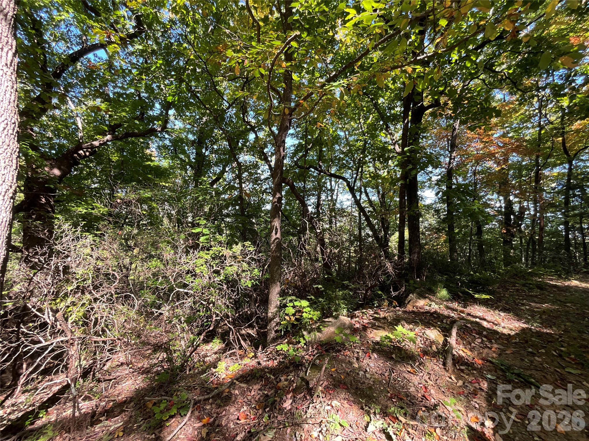 Lot at Lot 88 Bolt Road, Lake Lure, photo 4 of 19