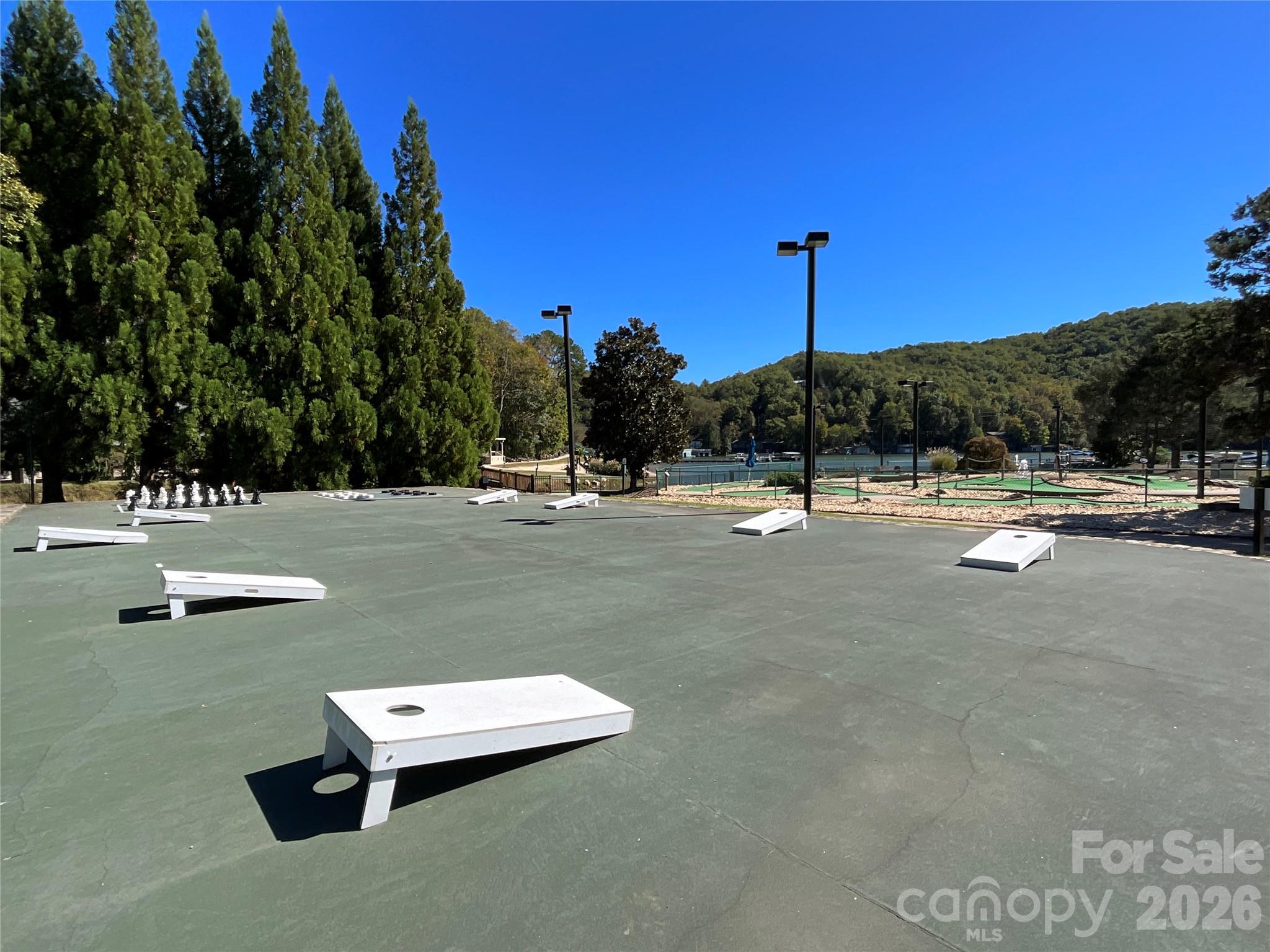 Lot at Lot 88 Bolt Road, Lake Lure, photo 18 of 19