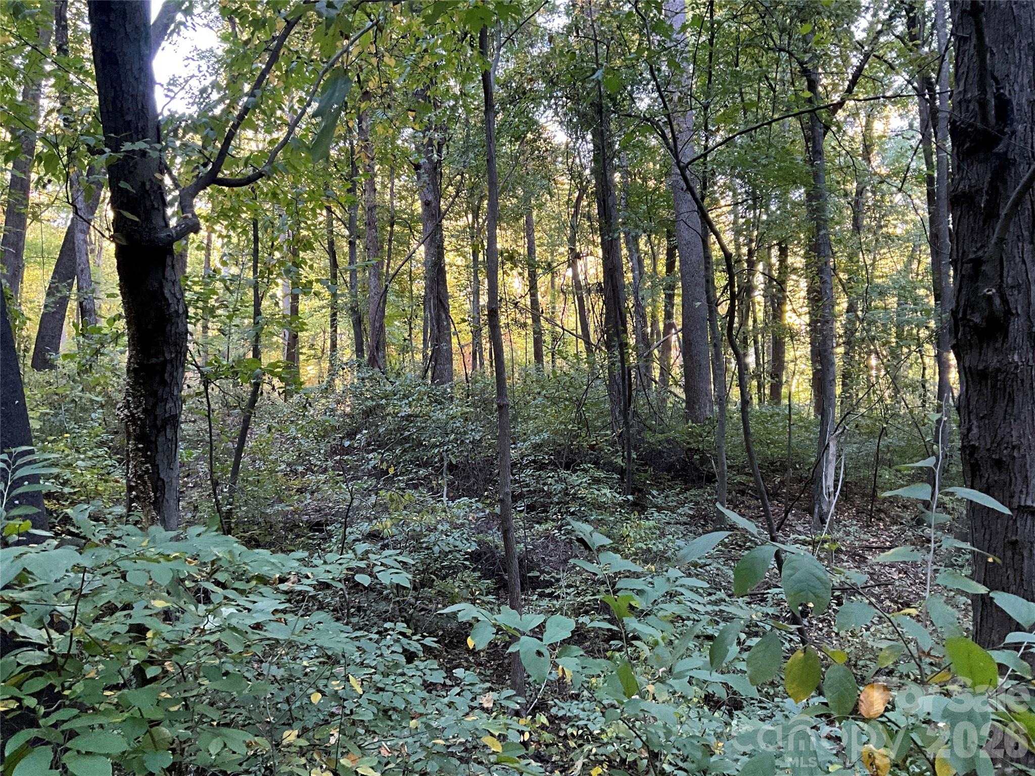 Lot 332/333 Bolt Road