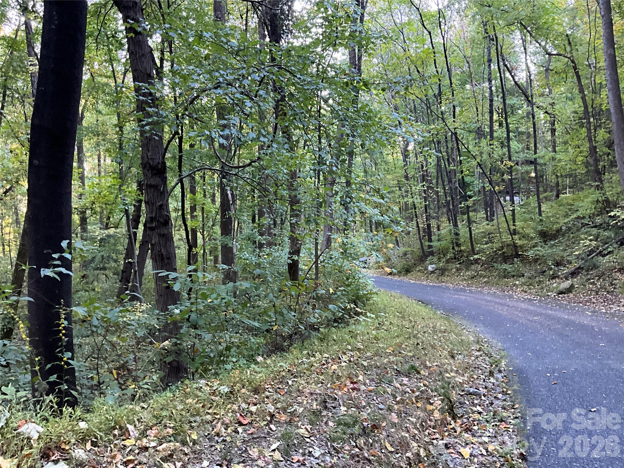 Lot at Lot 332/333 Bolt Road, Lake Lure, photo 2 of 16