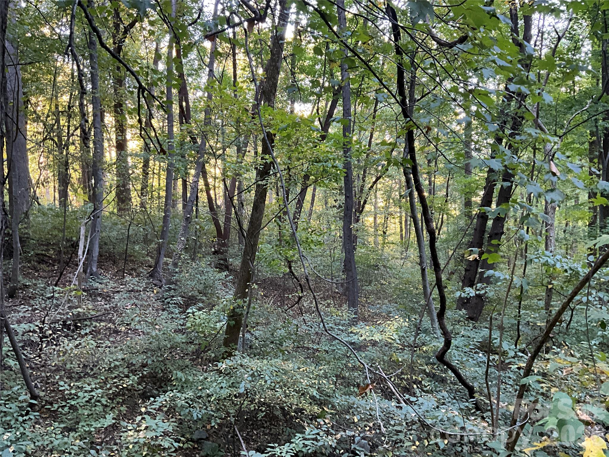 Lot at Lot 332/333 Bolt Road, Lake Lure, photo 3 of 16