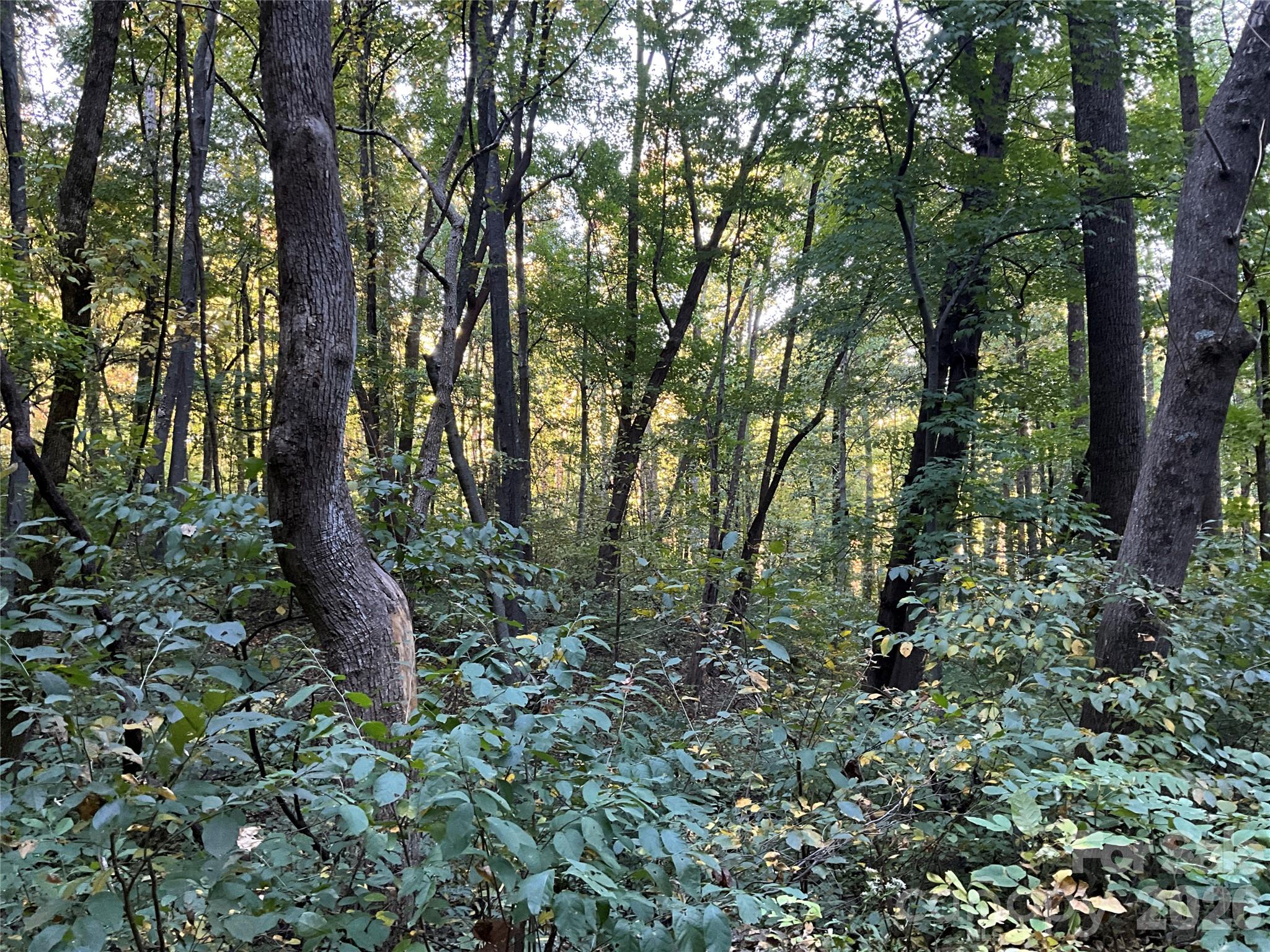 Lot at Lot 332/333 Bolt Road, Lake Lure, photo 4 of 16