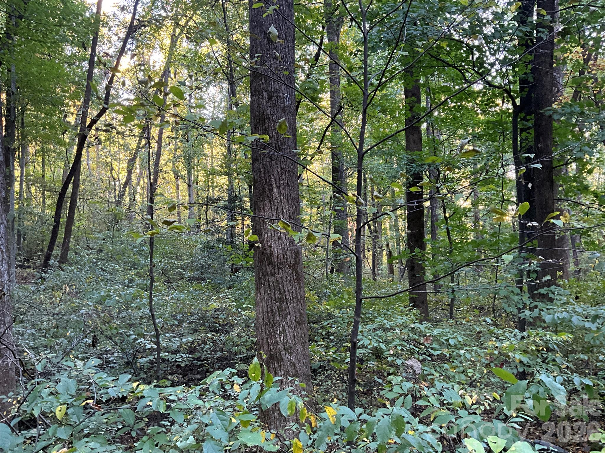 Lot at Lot 332/333 Bolt Road, Lake Lure, photo 5 of 16