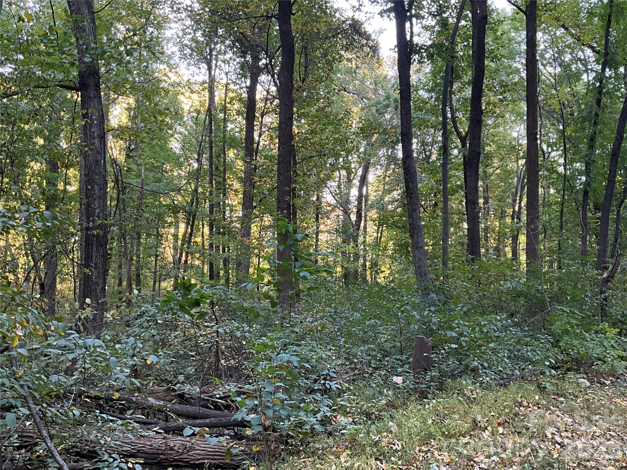 Lot at Lot 332/333 Bolt Road, Lake Lure, photo 6 of 16
