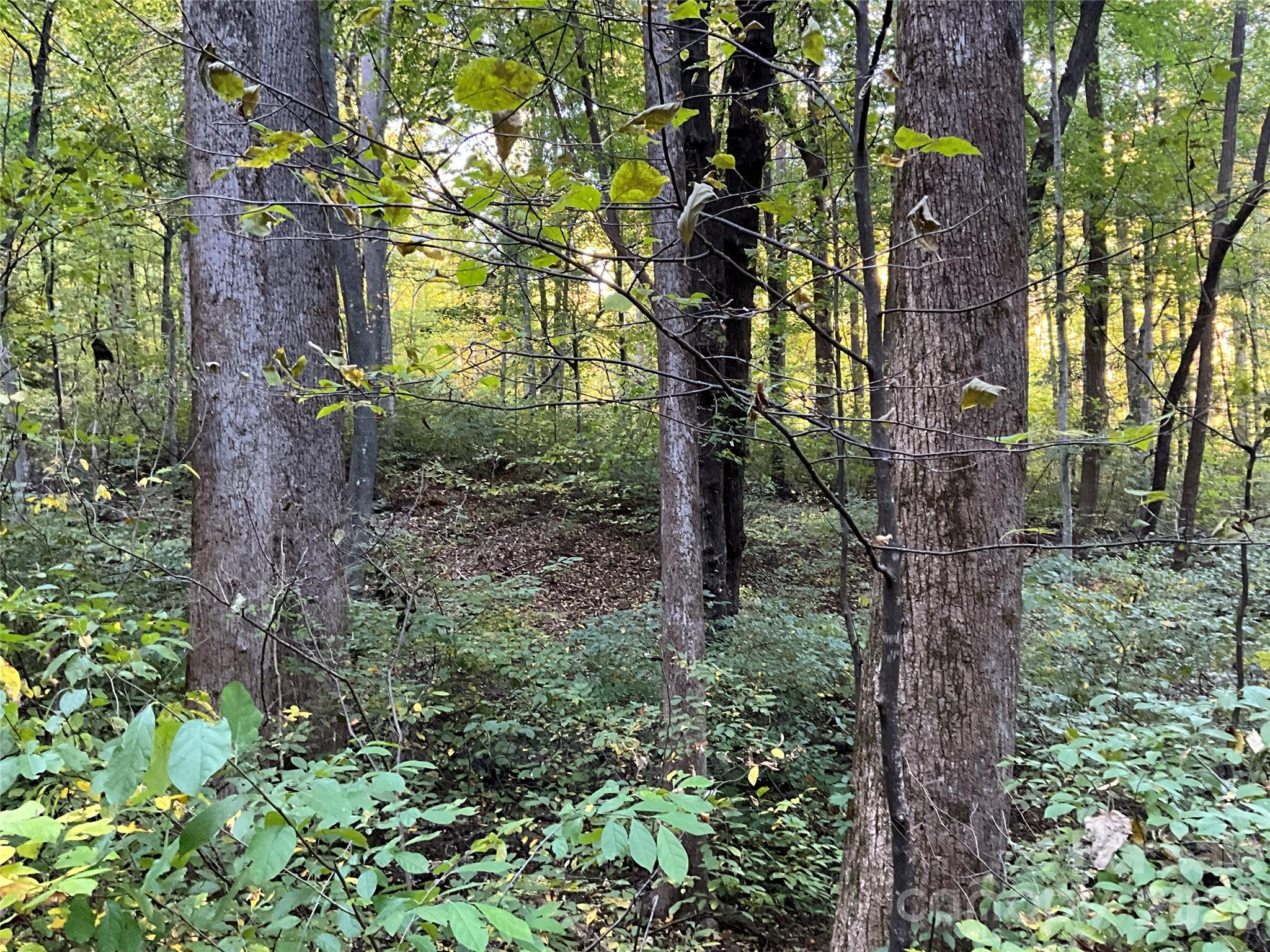 Lot at Lot 332/333 Bolt Road, Lake Lure, photo 7 of 16
