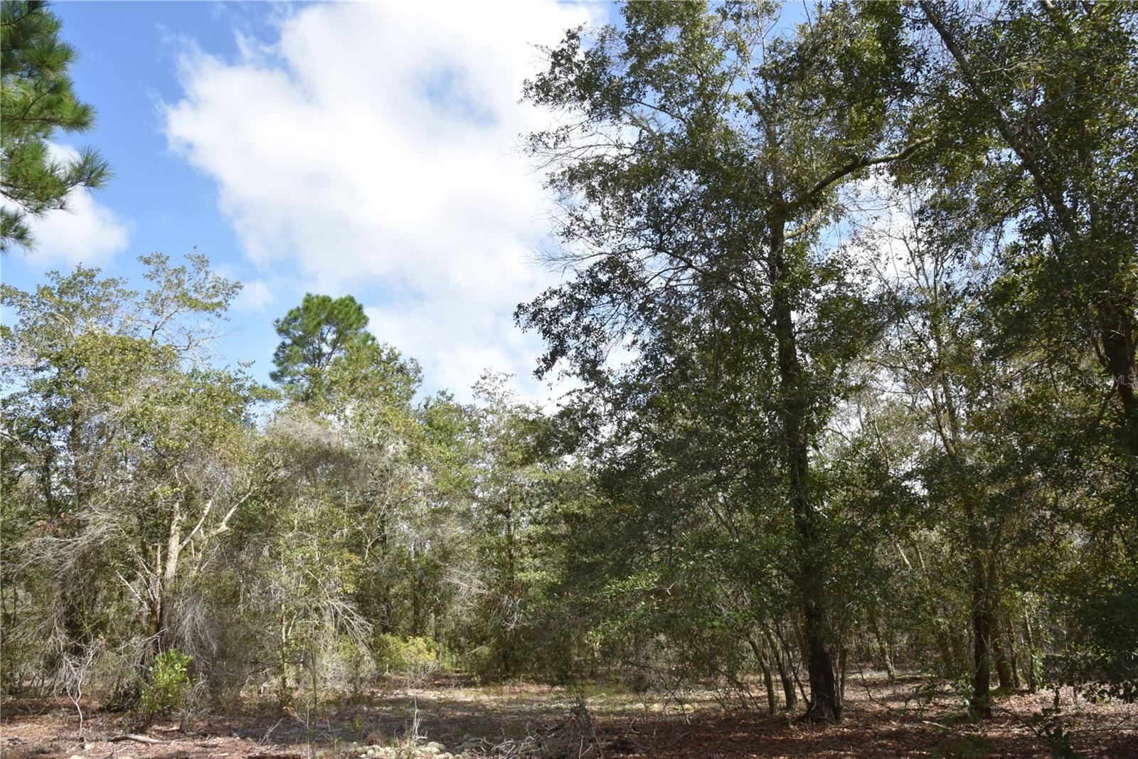 9150 SE US HIGHWAY 301
