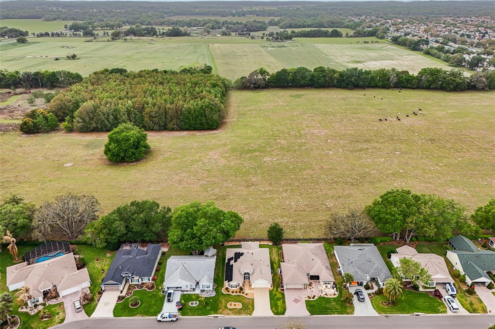 Single Family Residence at 8146 SE 177TH WINTERTHUR LOOP, THE VILLAGES, photo 40 of 48