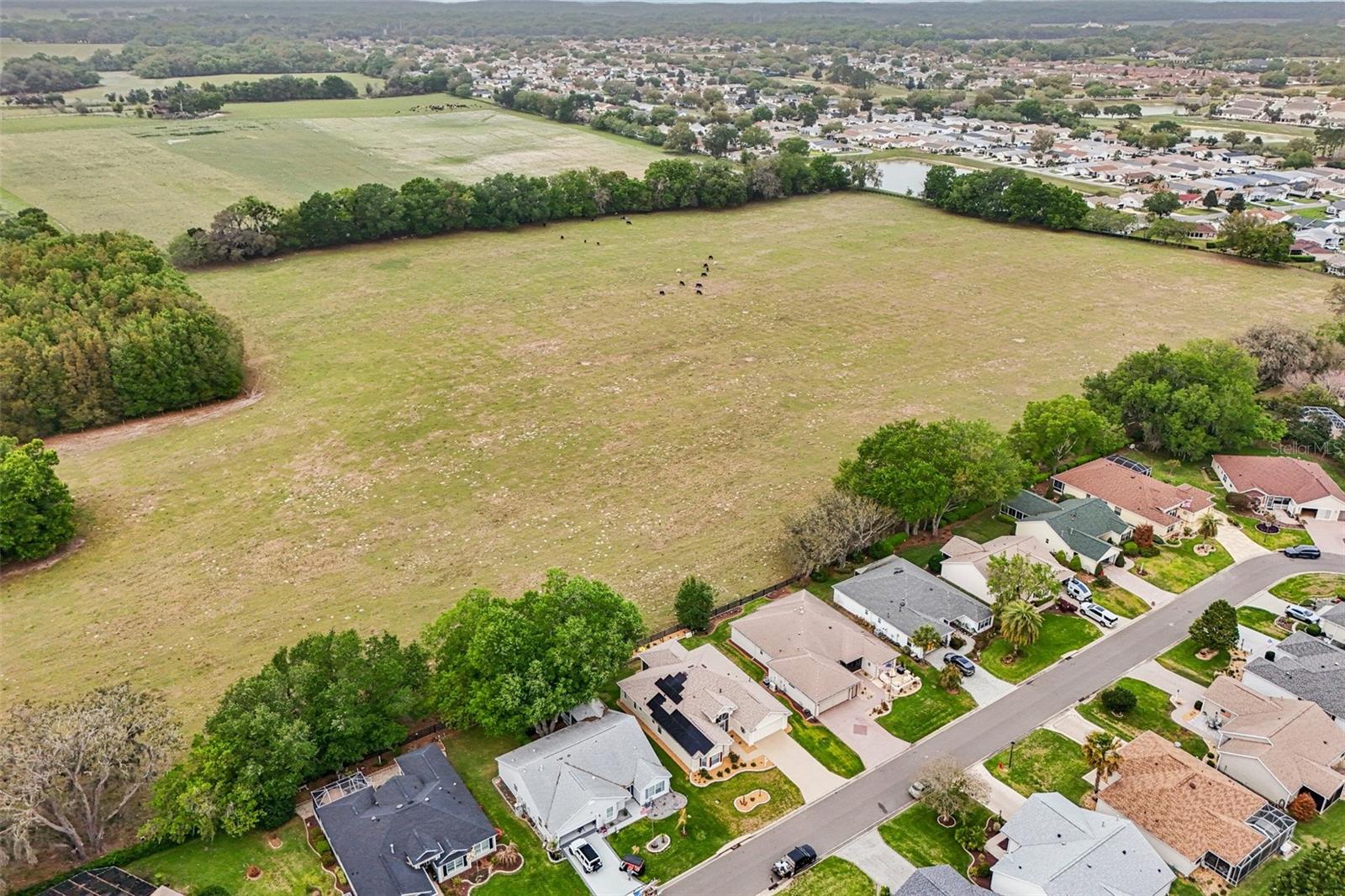 Single Family Residence at 8146 SE 177TH WINTERTHUR LOOP, THE VILLAGES, photo 43 of 48