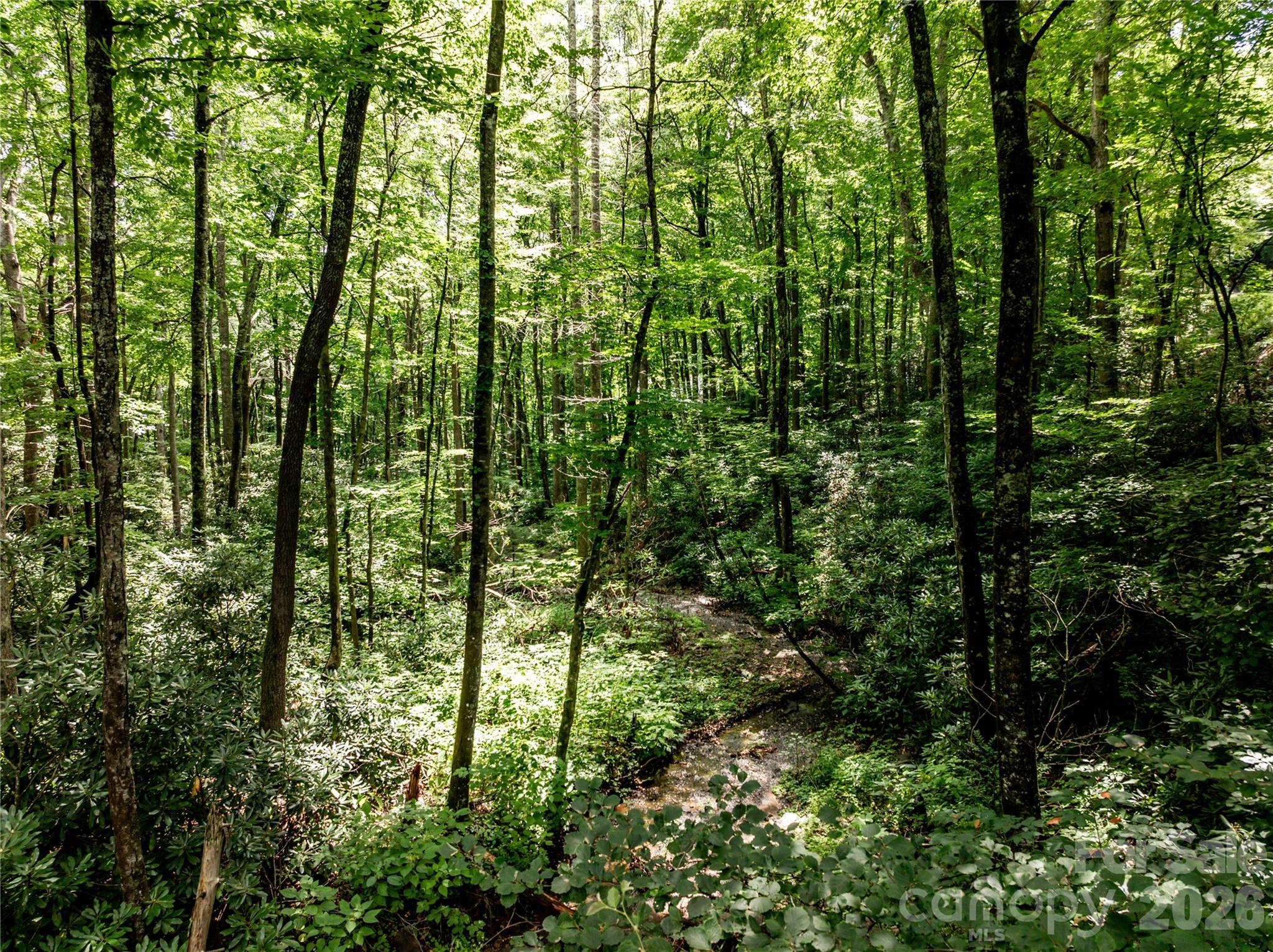 Lot at 6 Great Aspen Way, Black Mountain, photo 9 of 42