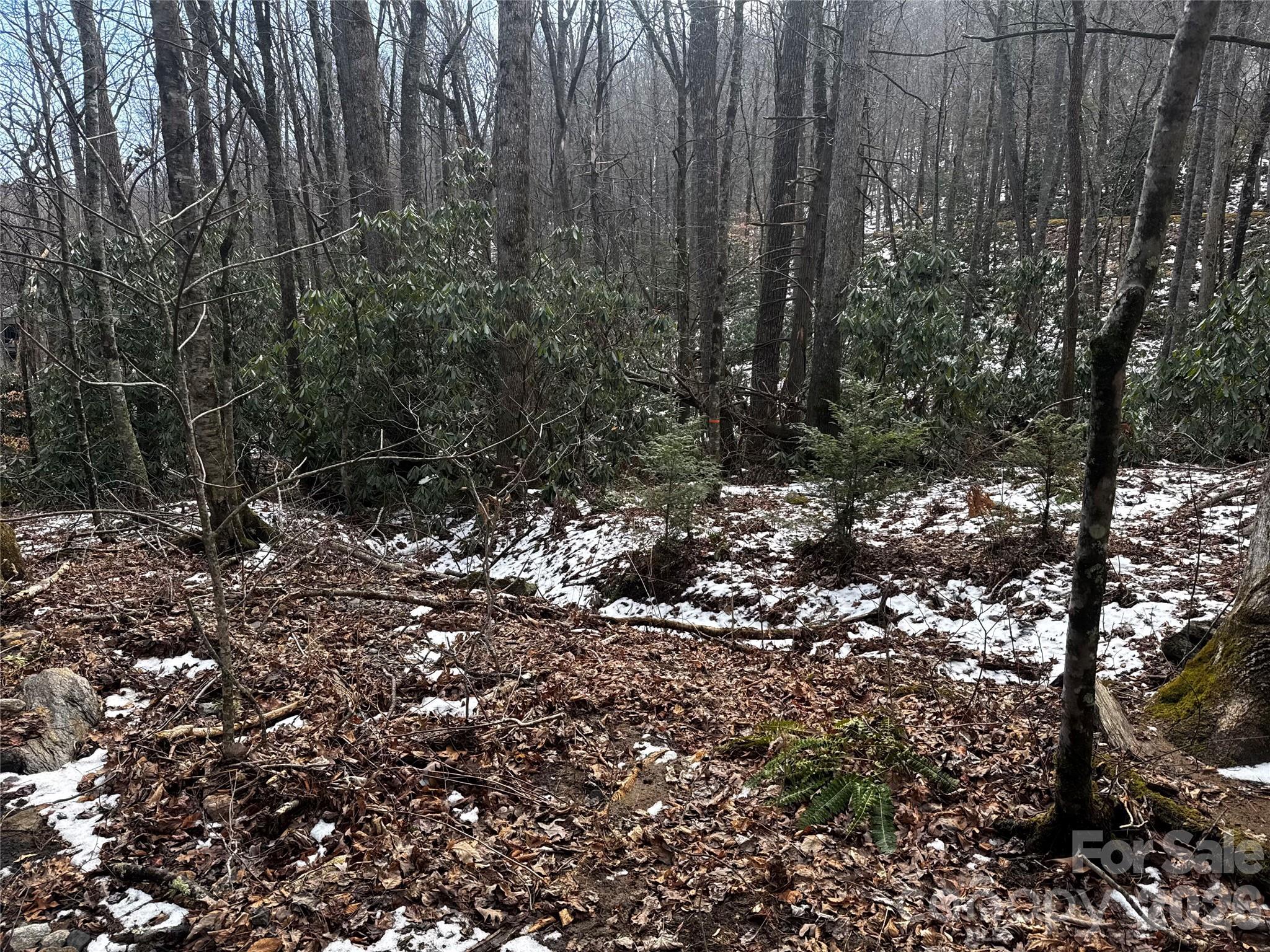 Lot at 6 Great Aspen Way, Black Mountain, photo 19 of 42