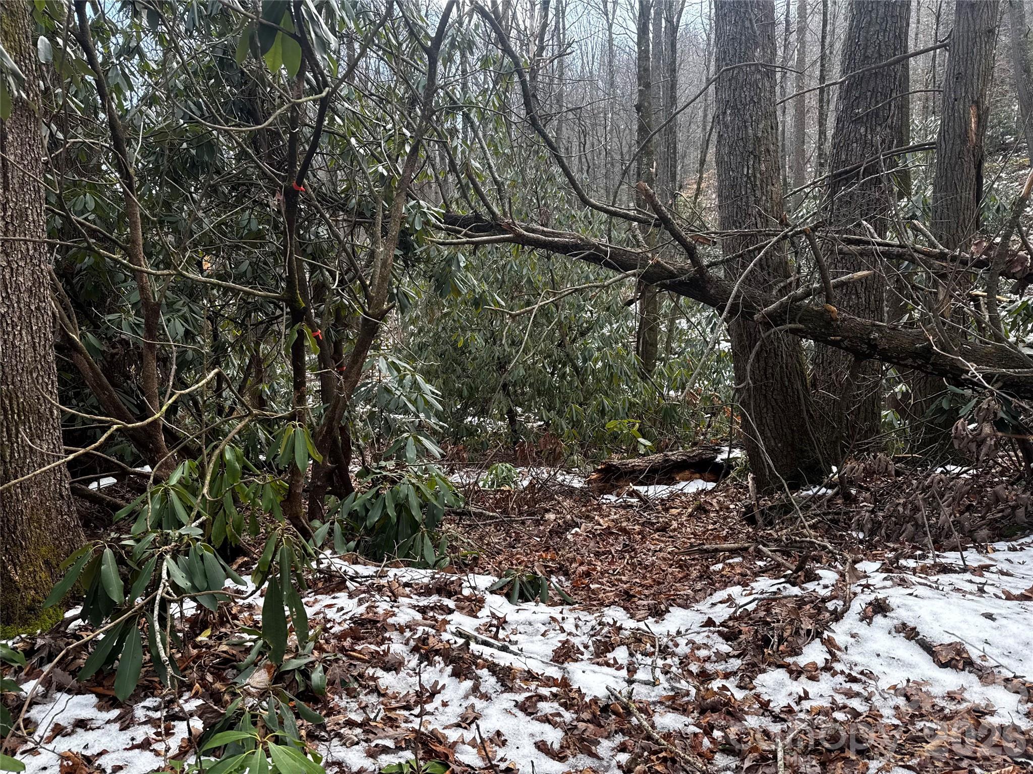 Lot at 6 Great Aspen Way, Black Mountain, photo 20 of 42