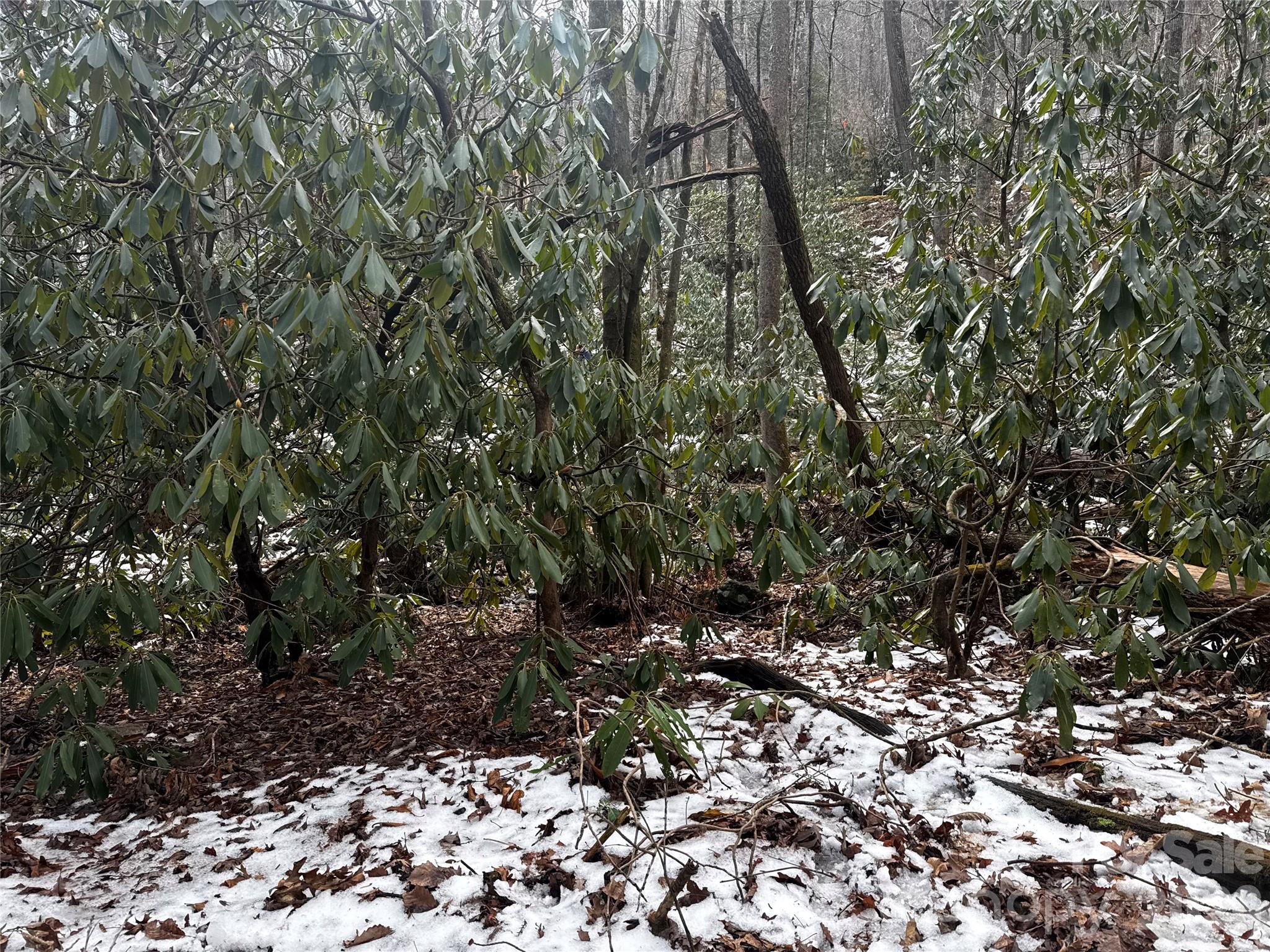 Lot at 6 Great Aspen Way, Black Mountain, photo 21 of 42