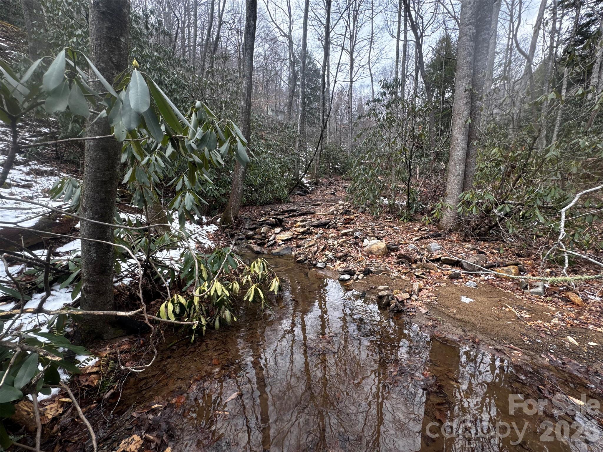 The stream/drainage, toward where is goes under Great Aspen Way and Hemlock Circle...House would likely be built to the left side of that drainage. - 6 Great Aspen Way, Black Mountain