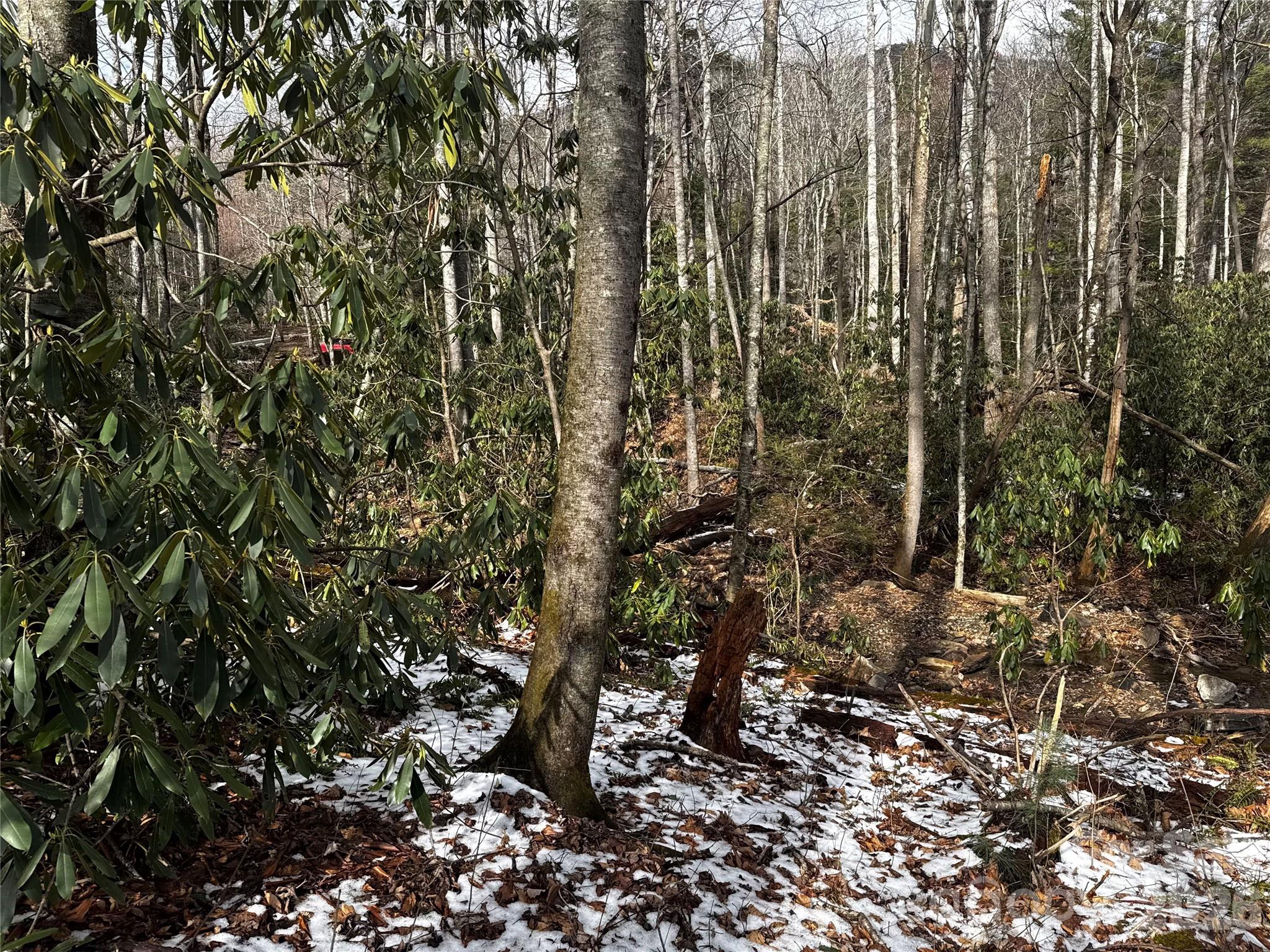 Lot at 6 Great Aspen Way, Black Mountain, photo 26 of 42
