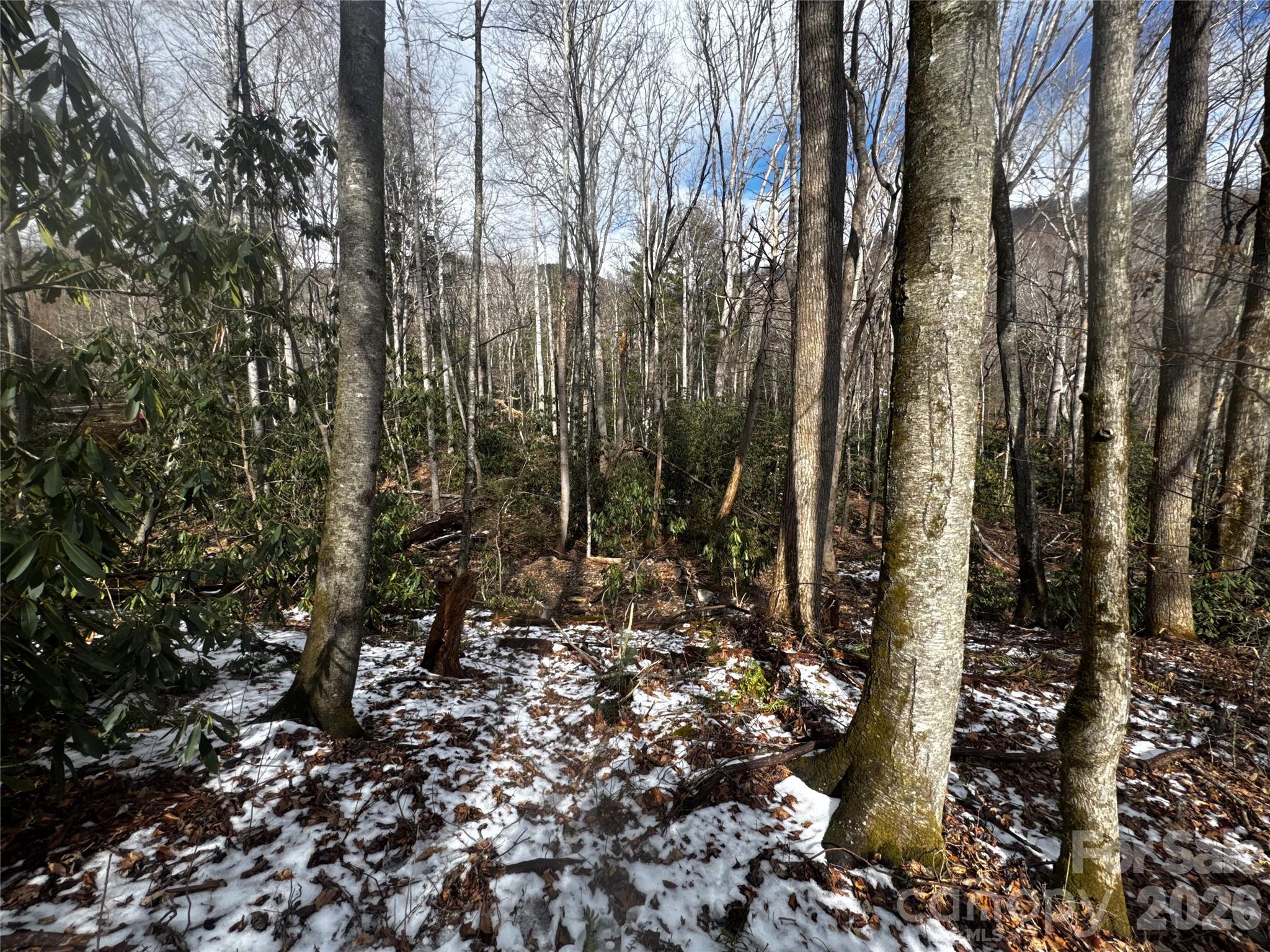 Lot at 6 Great Aspen Way, Black Mountain, photo 27 of 42