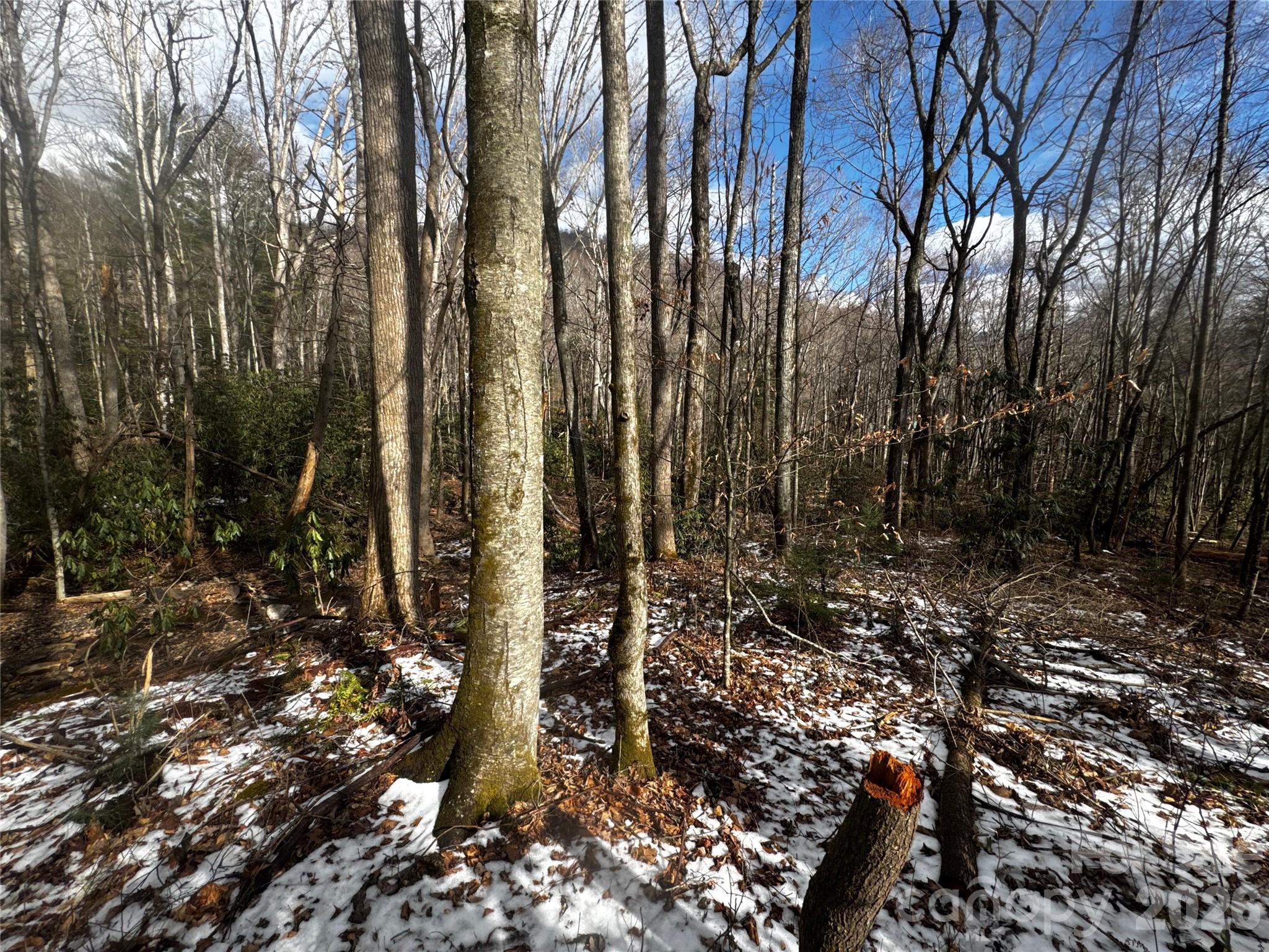 Lot at 6 Great Aspen Way, Black Mountain, photo 28 of 42