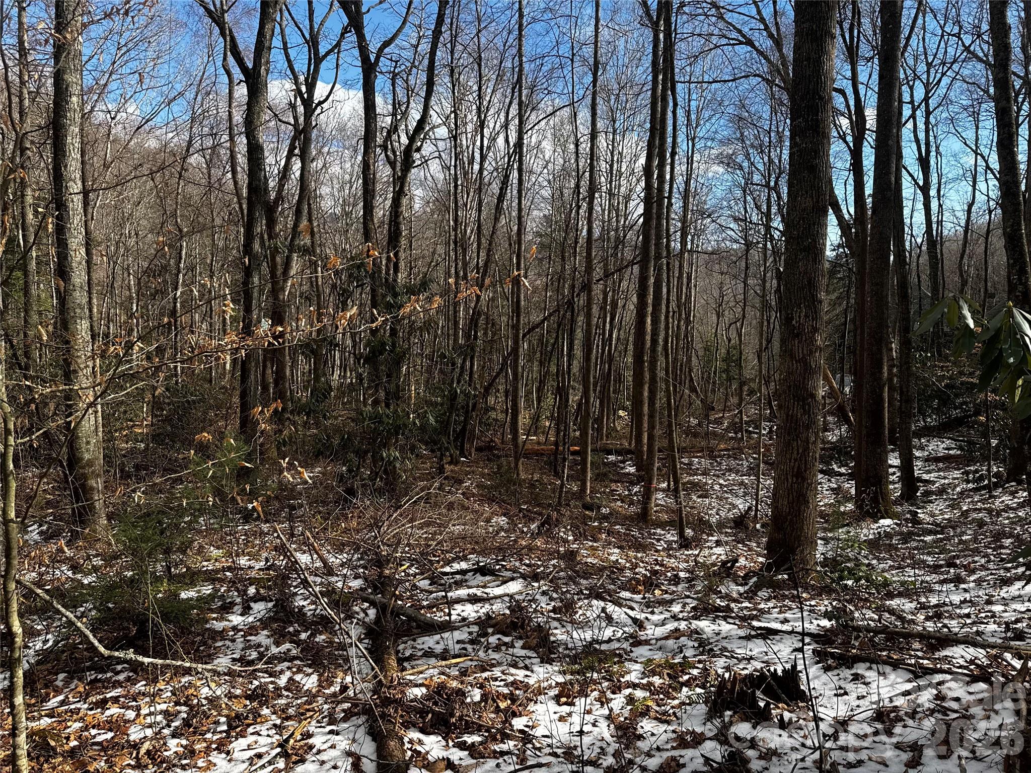 Lot at 6 Great Aspen Way, Black Mountain, photo 29 of 42