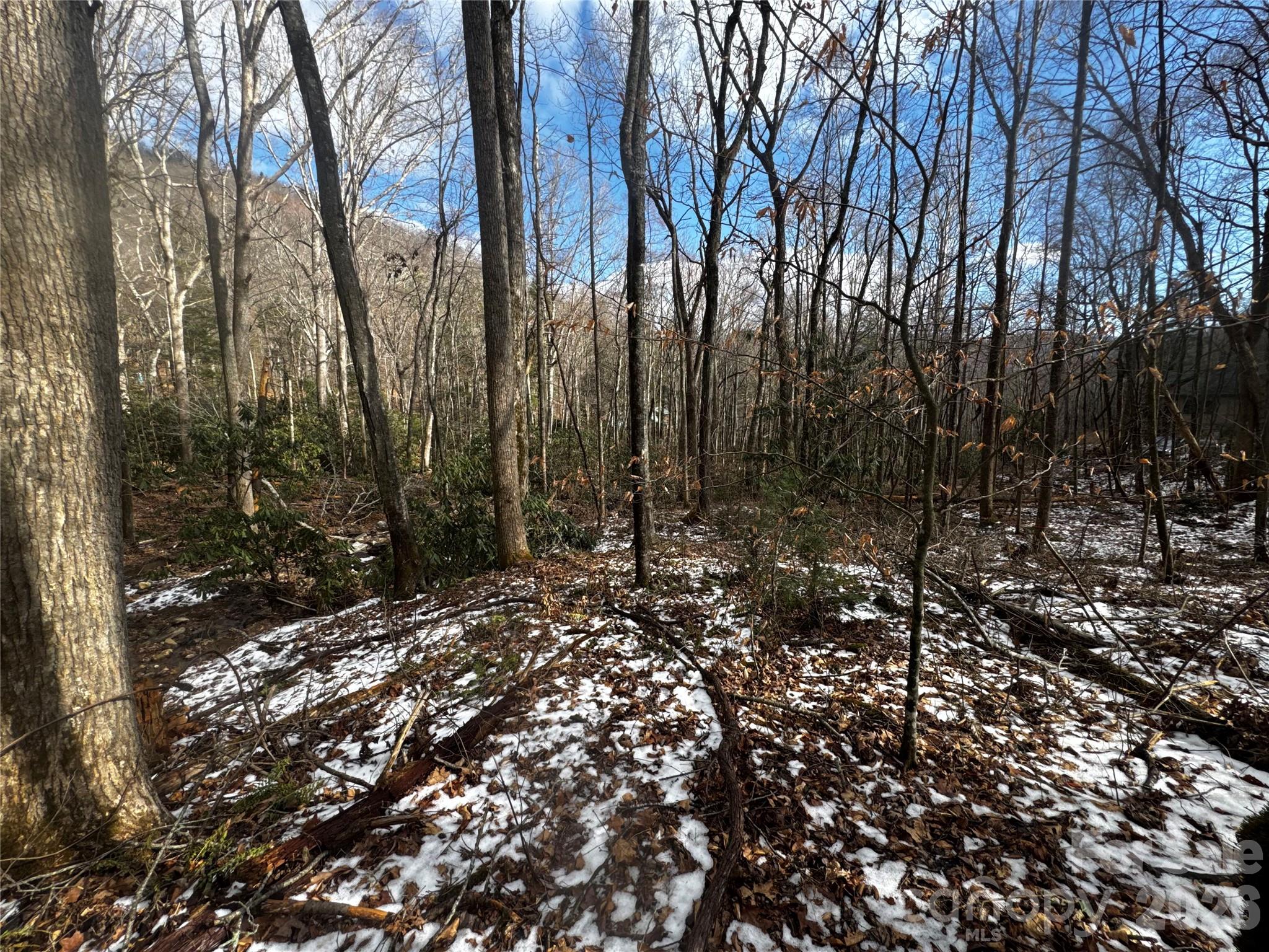 Viewer POV is approximately from the house-site, looking across the lower side of Hemlock from the house-site. The septic system and closest neighboring house would be to the right of the frame... - 6 Great Aspen Way, Black Mountain