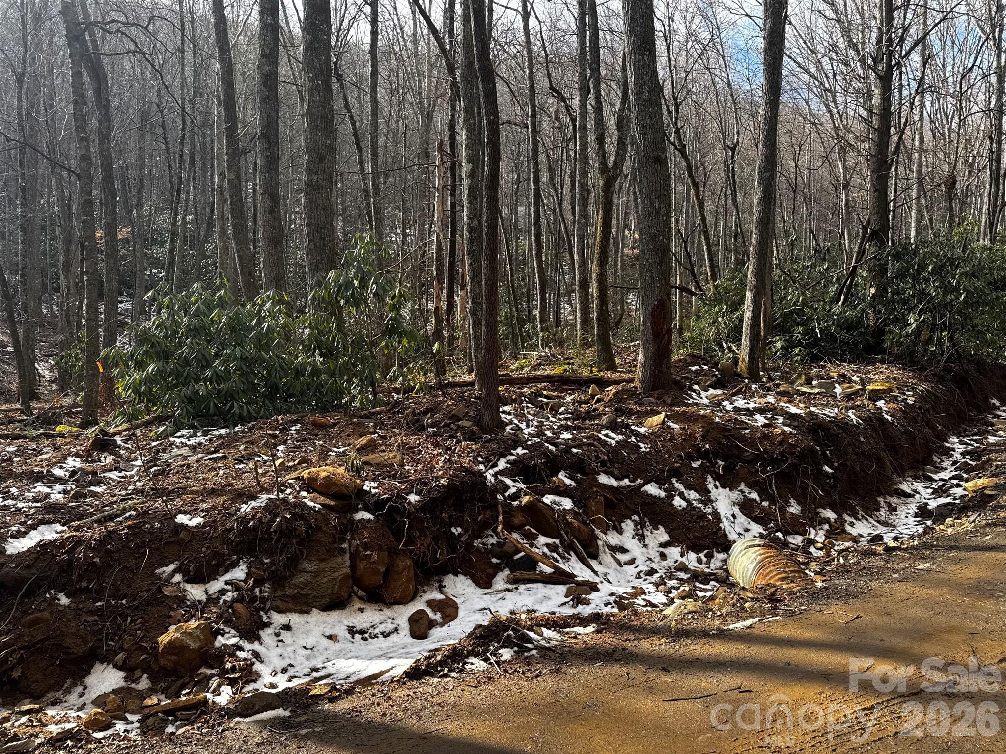 This photo POV shows lot from the unpaved road (road is paved now) looking straight up toward where the house would be placed as virtual rendition represents it... - 6 Great Aspen Way, Black Mountain