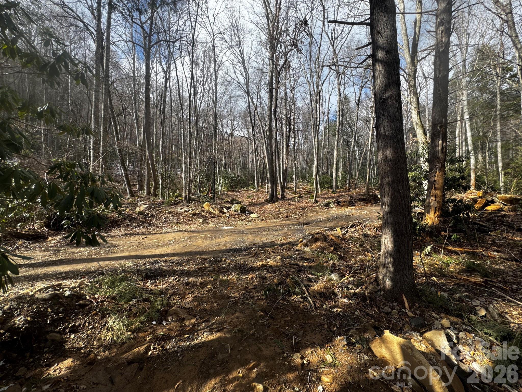 Lot at 6 Great Aspen Way, Black Mountain, photo 42 of 42