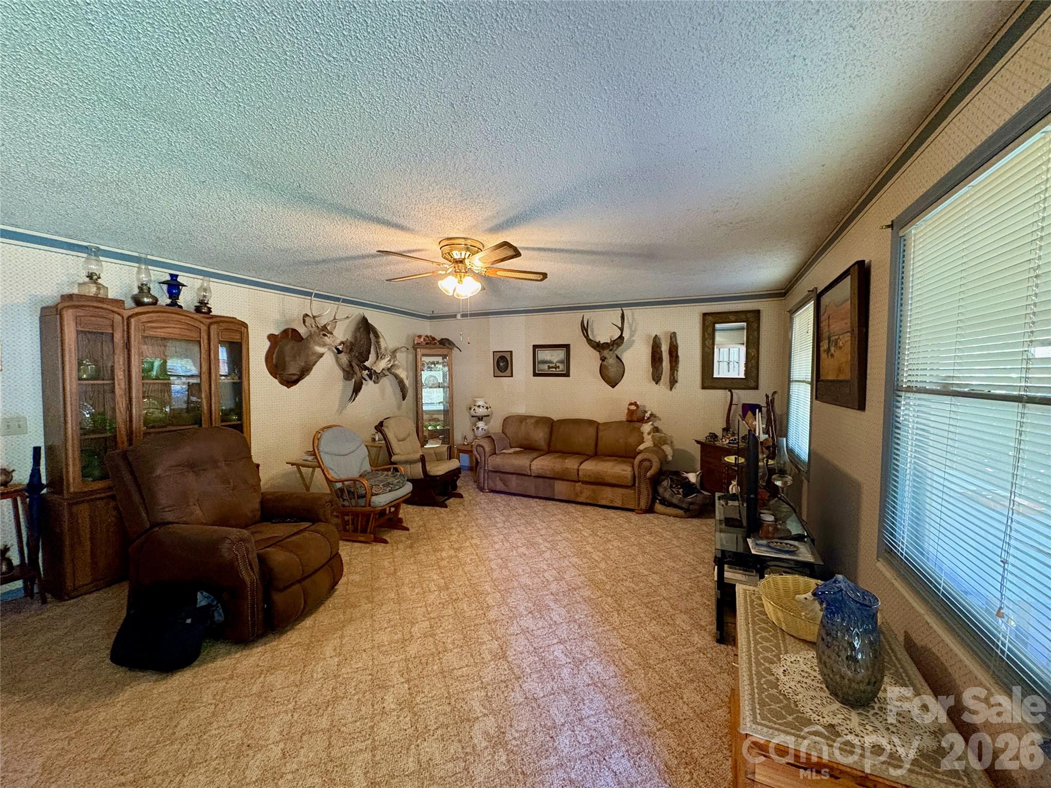 Single Family Residence at 41 Eye View Road, Candler, photo 5 of 23