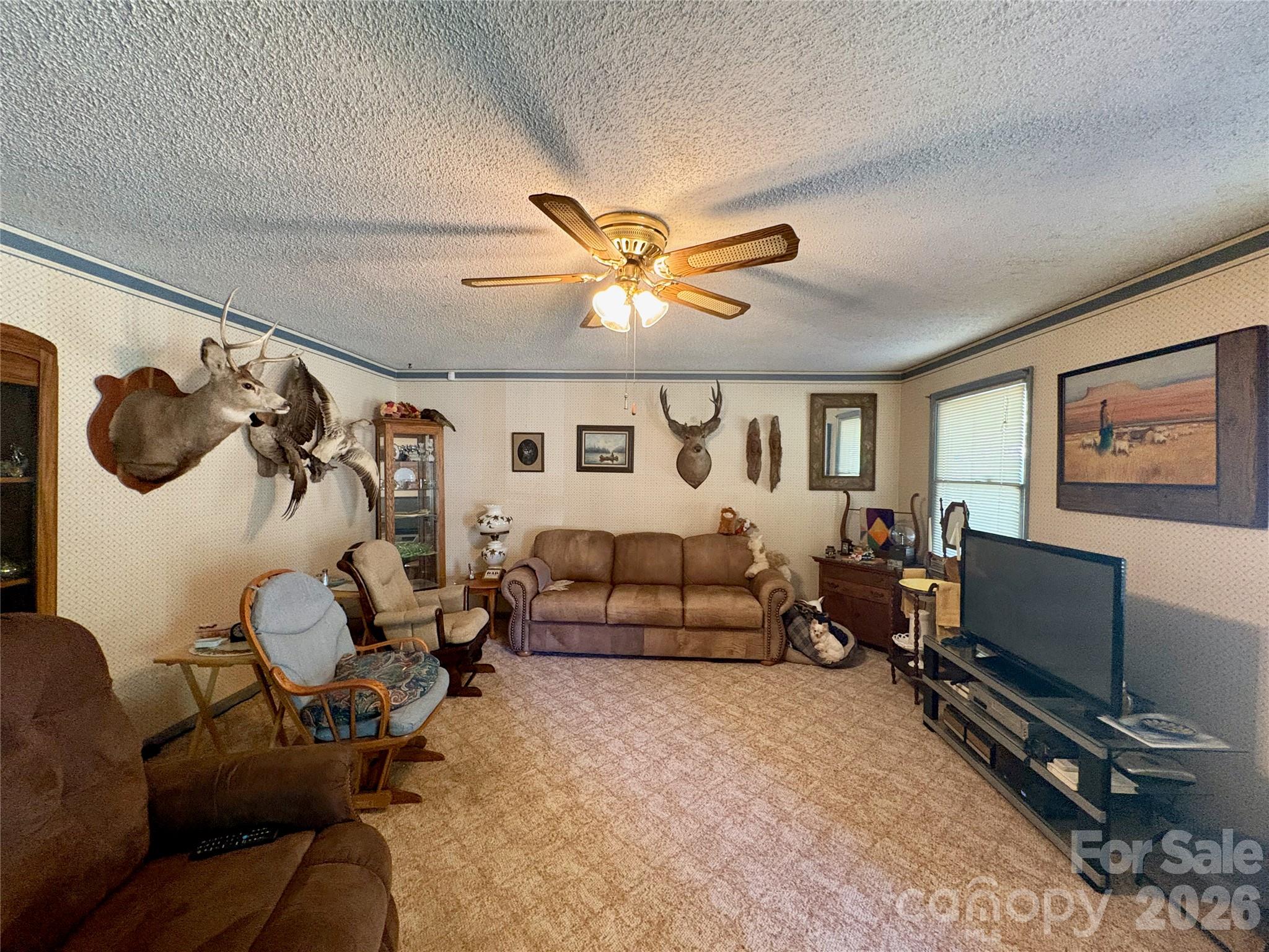 Single Family Residence at 41 Eye View Road, Candler, photo 6 of 23