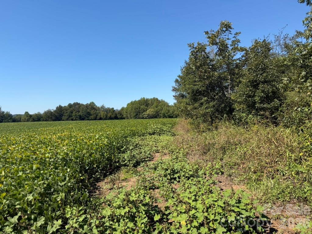 Acreage at 00 Fallston Road, Lawndale, photo 7 of 11