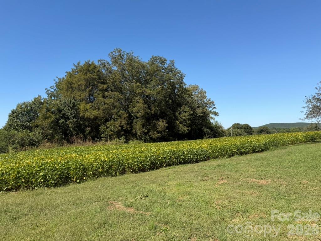 Acreage at 00 Fallston Road, Lawndale, photo 8 of 11