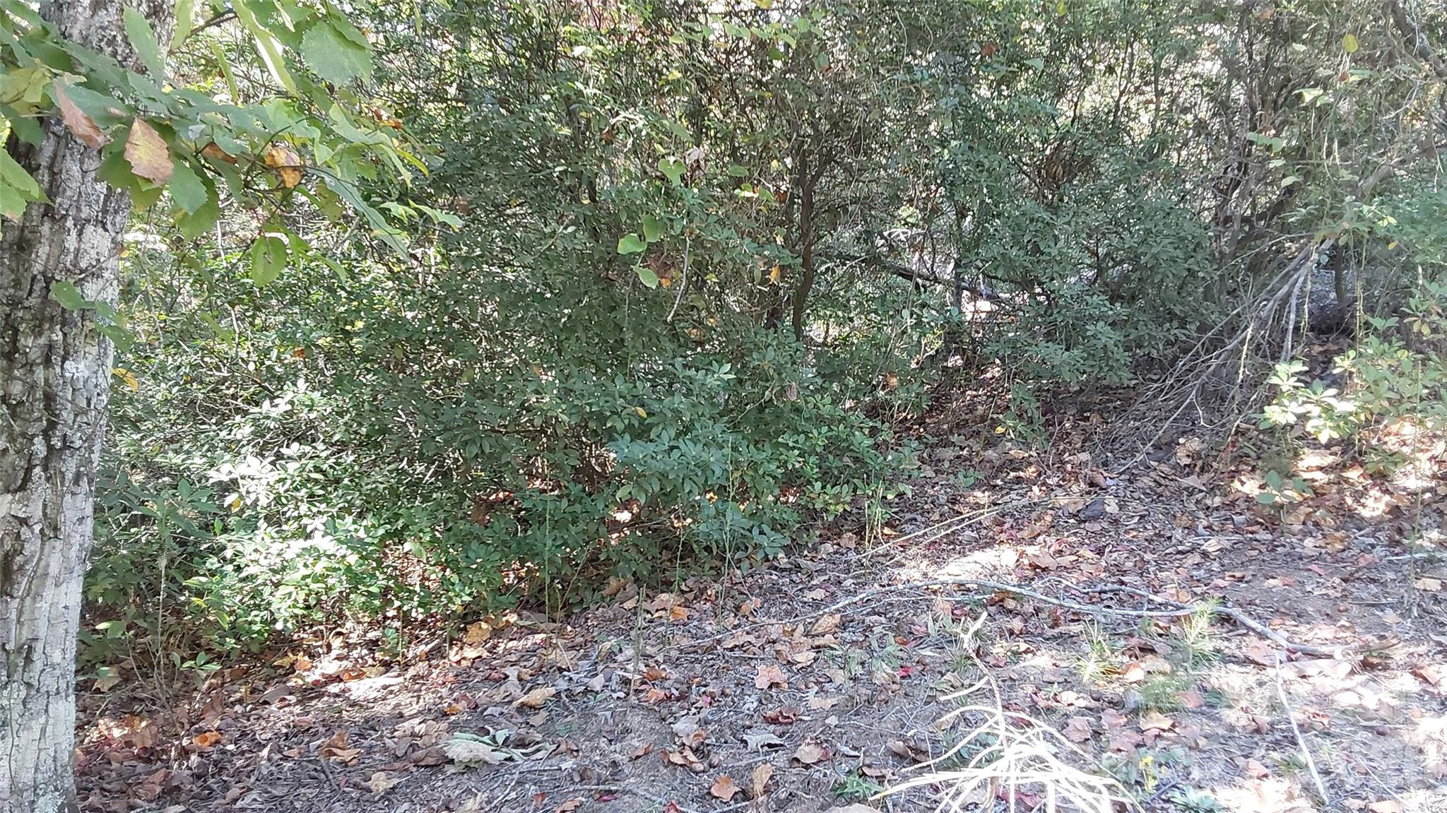 Lot at 00 Sparrows Way, Lake Lure, photo 2 of 7