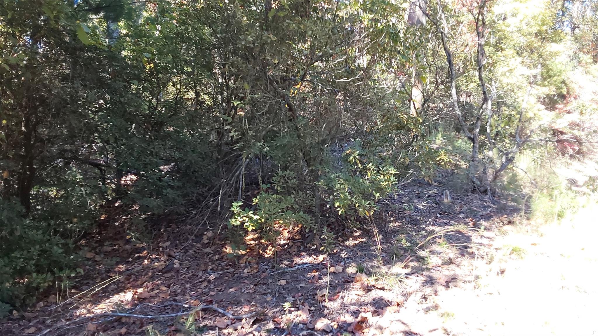 Lot at 00 Sparrows Way, Lake Lure, photo 3 of 7