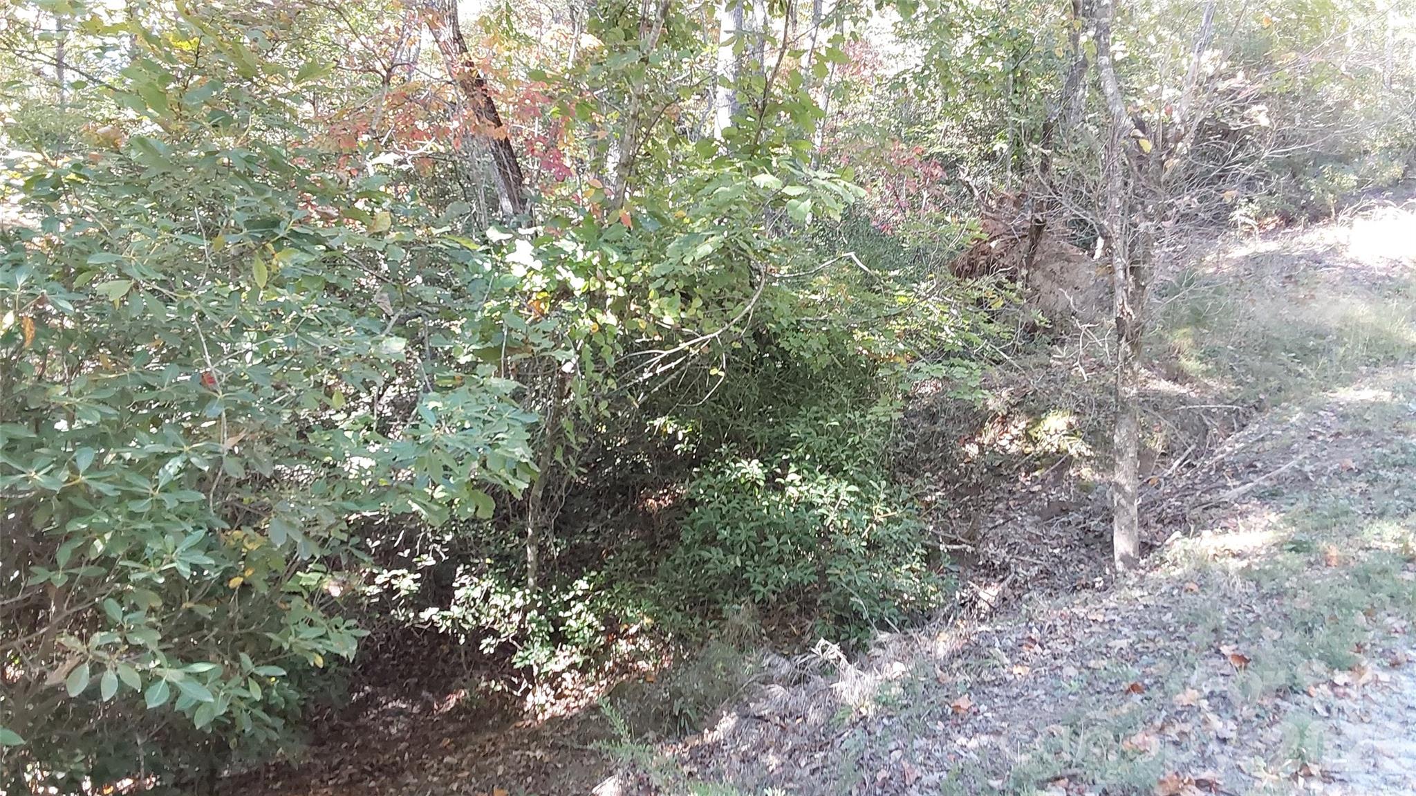 Lot at 00 Sparrows Way, Lake Lure, photo 4 of 7