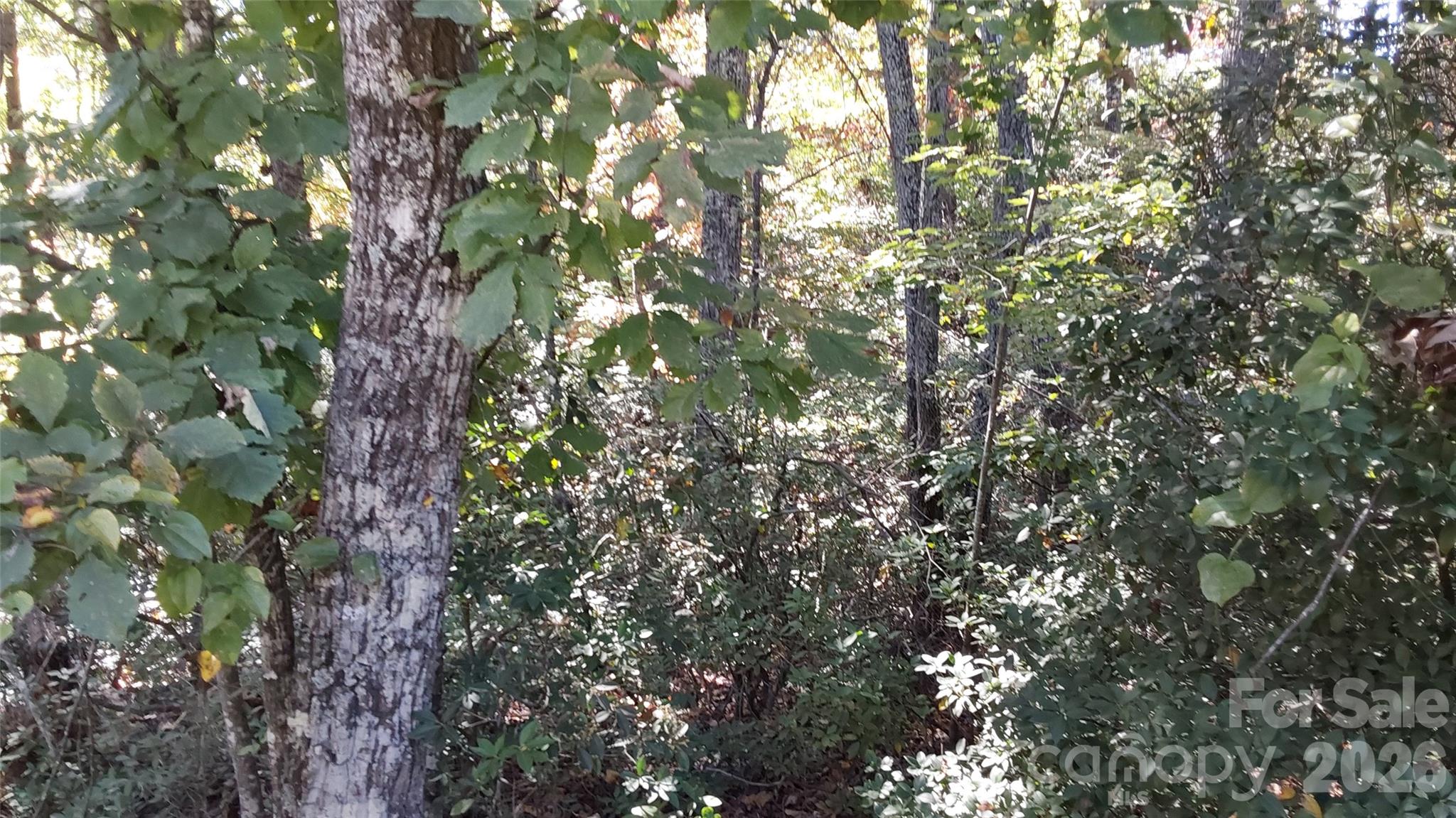 Lot at 00 Sparrows Way, Lake Lure, photo 5 of 7