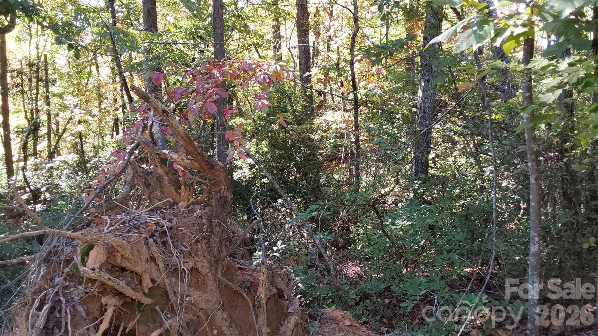 Lot at 00 Sparrows Way, Lake Lure, photo 6 of 7