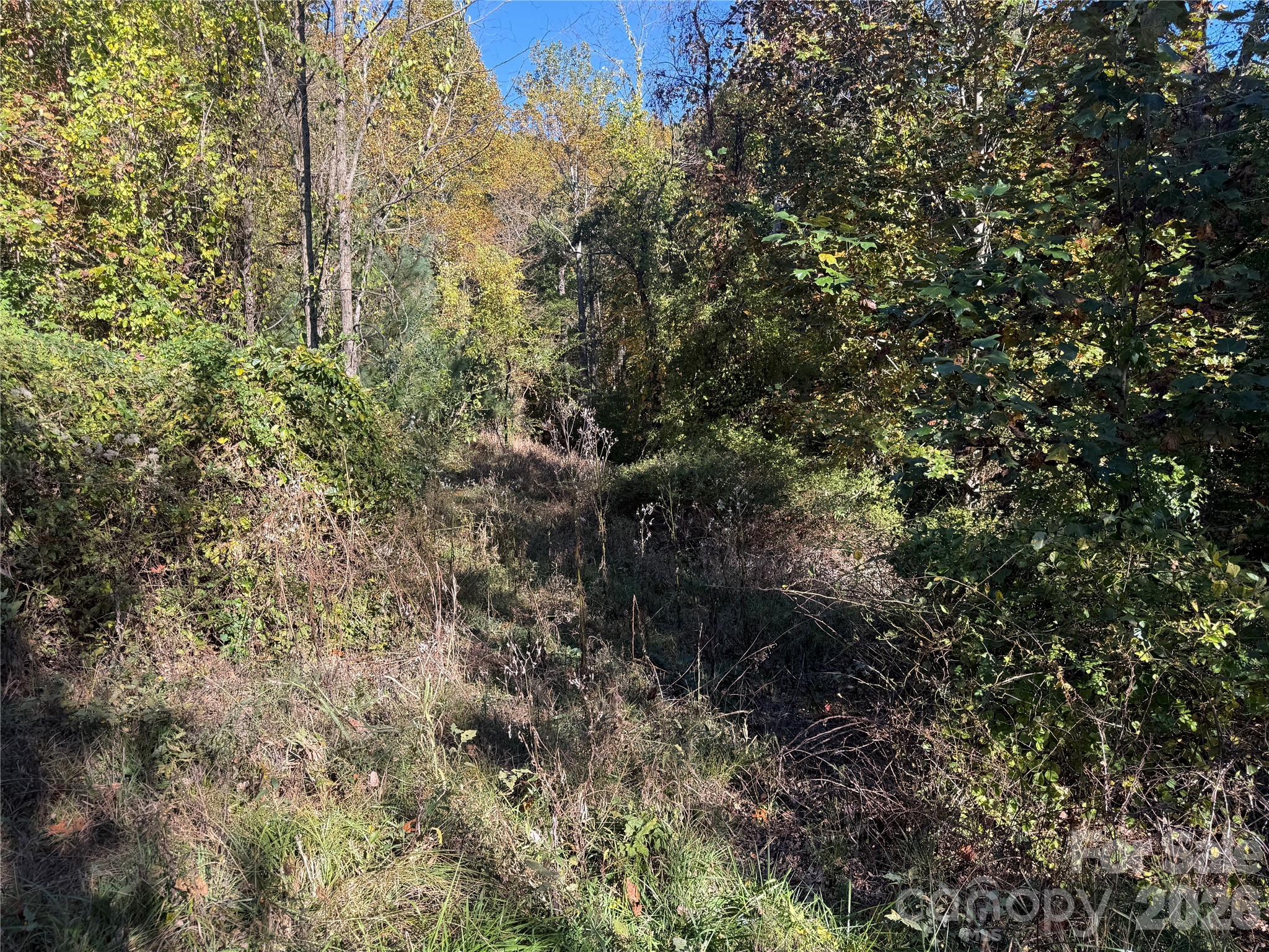 Acreage at 116 Slick Rock Road, Brevard, photo 4 of 16