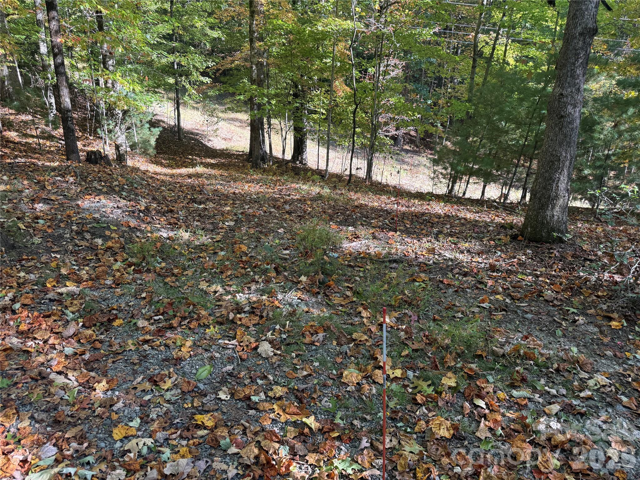 Acreage at 116 Slick Rock Road, Brevard, photo 5 of 16