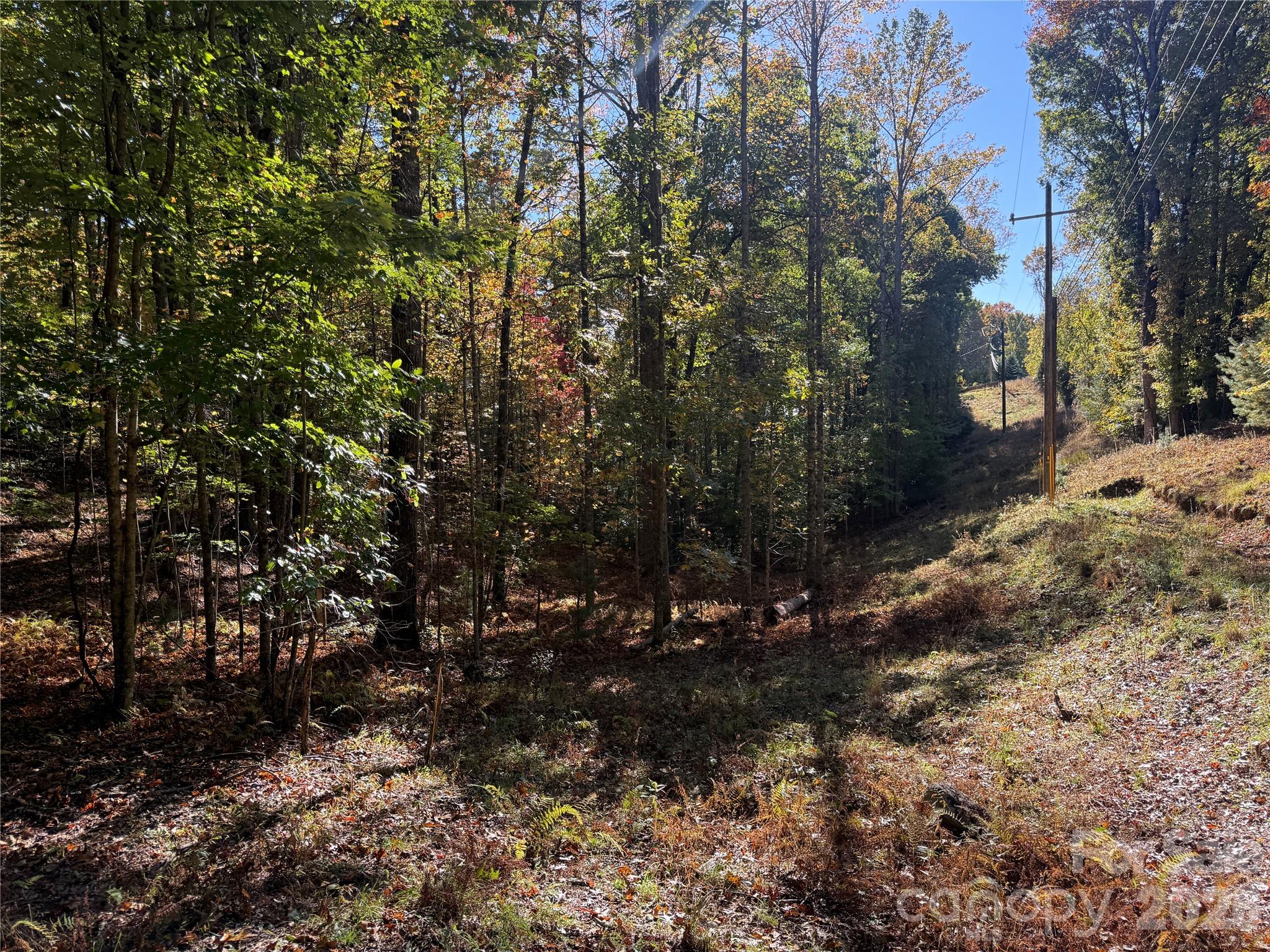 Acreage at 116 Slick Rock Road, Brevard, photo 6 of 16