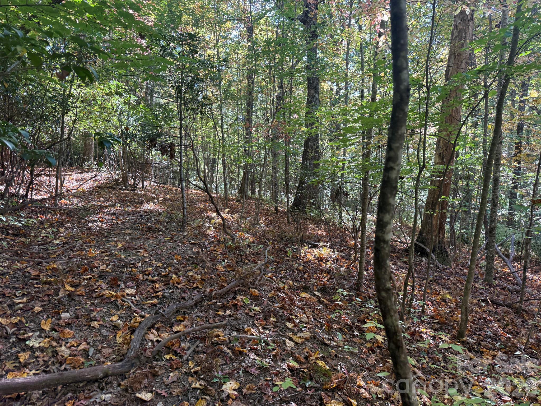 Acreage at 116 Slick Rock Road, Brevard, photo 7 of 16