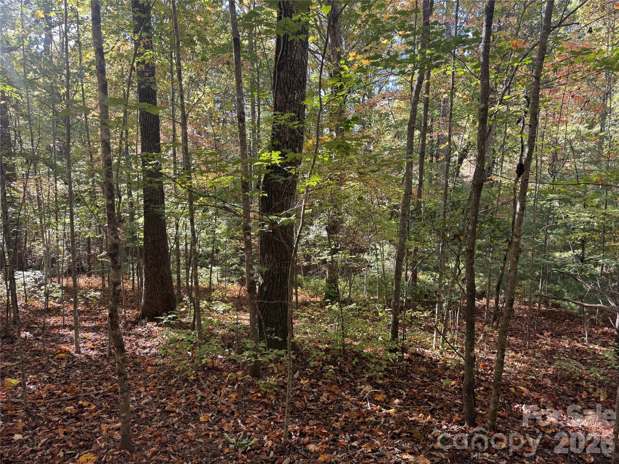 Acreage at 116 Slick Rock Road, Brevard, photo 8 of 16
