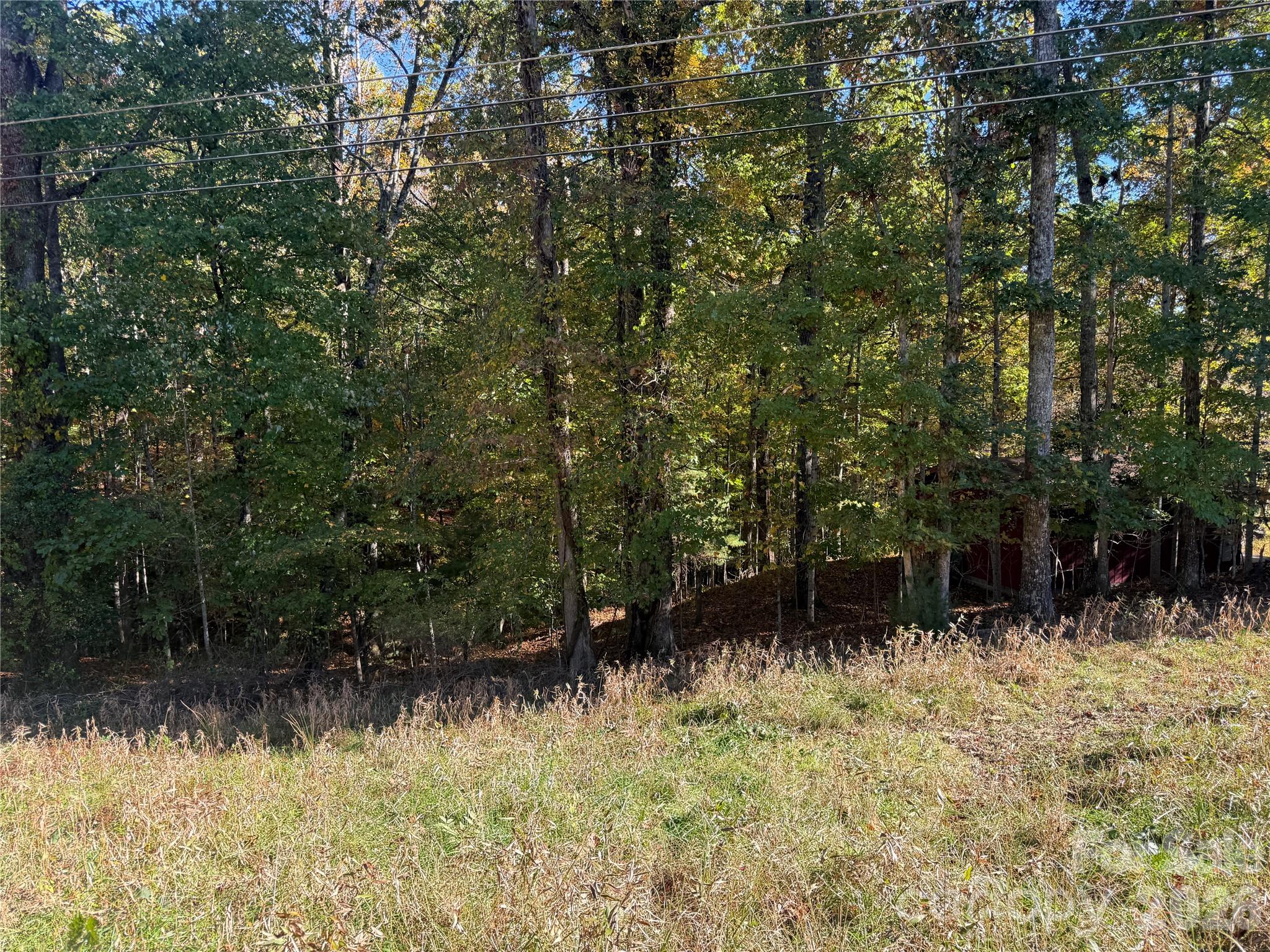 Acreage at 116 Slick Rock Road, Brevard, photo 9 of 16