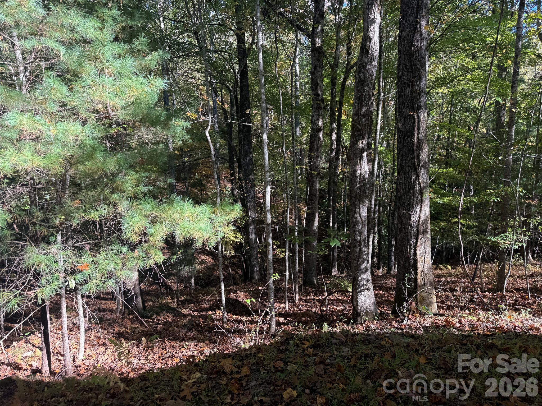 Acreage at 116 Slick Rock Road, Brevard, photo 11 of 16