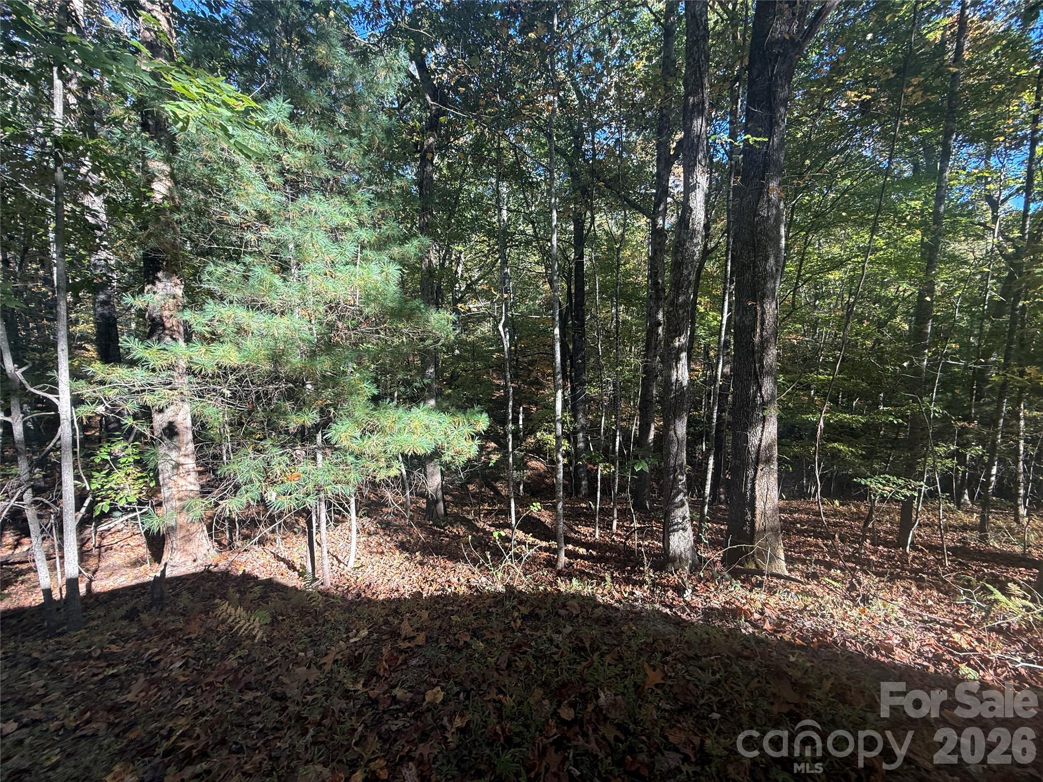Acreage at 116 Slick Rock Road, Brevard, photo 12 of 16