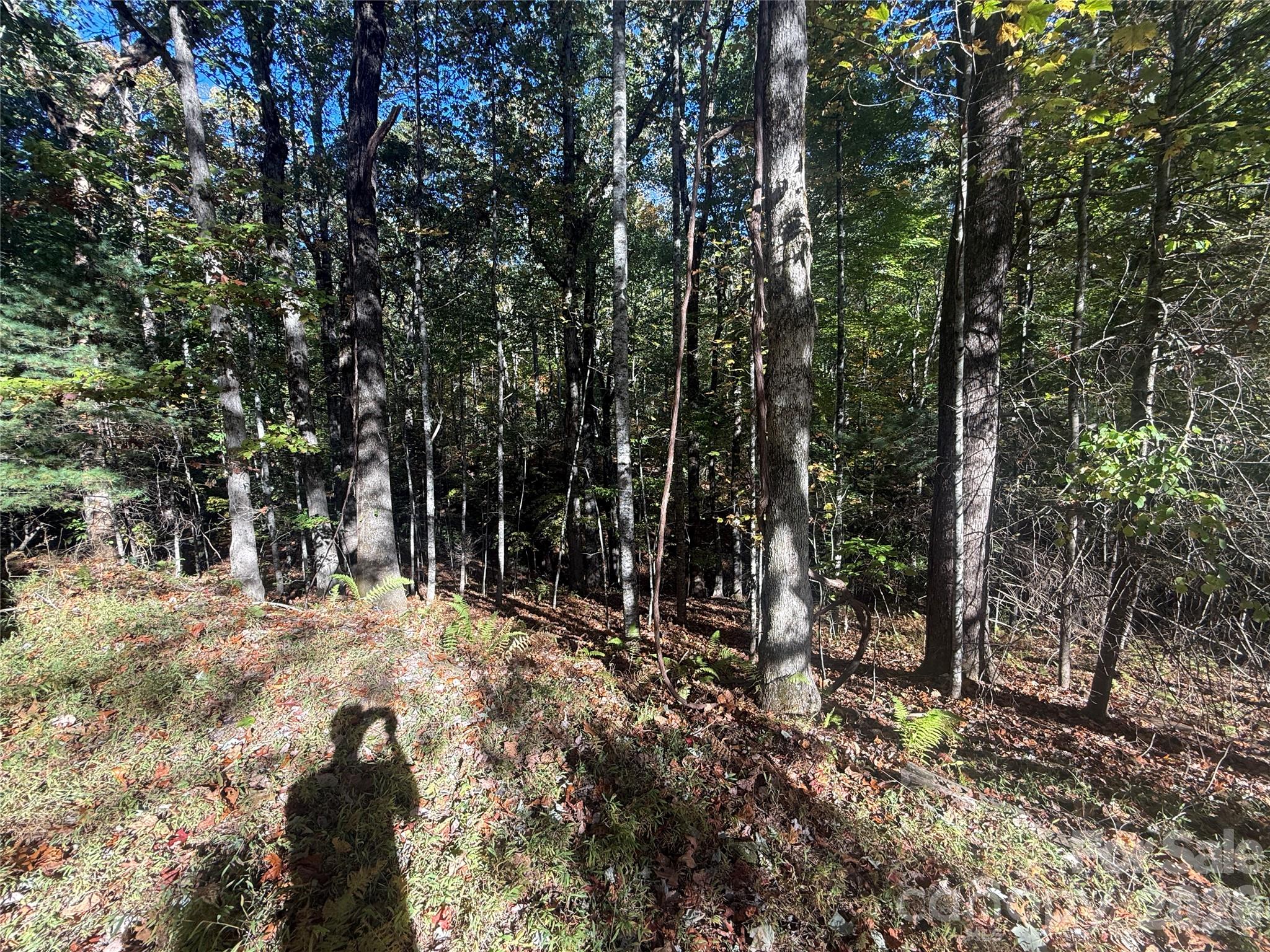 Acreage at 116 Slick Rock Road, Brevard, photo 16 of 16