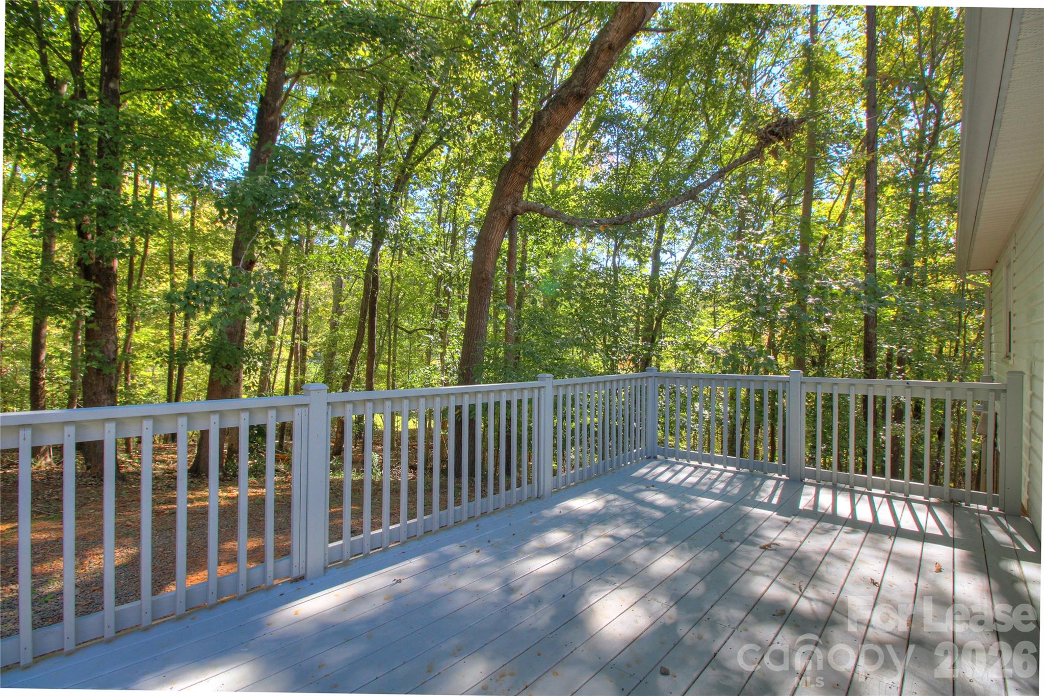 Single Family Residence at 623 Olin Drive, Waxhaw, photo 11 of 20
